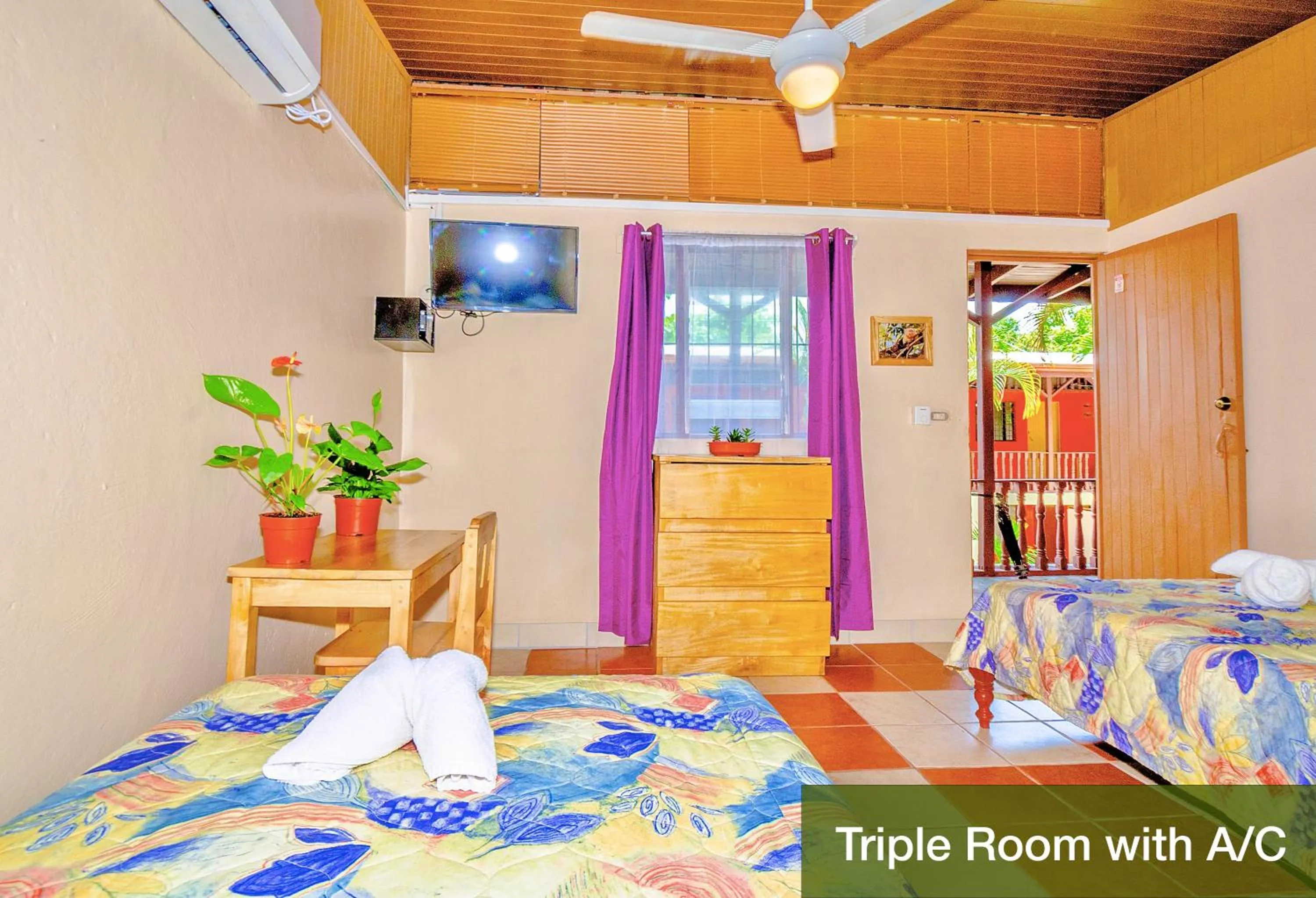 Photo of the whole room, Bed in Blue Iguana