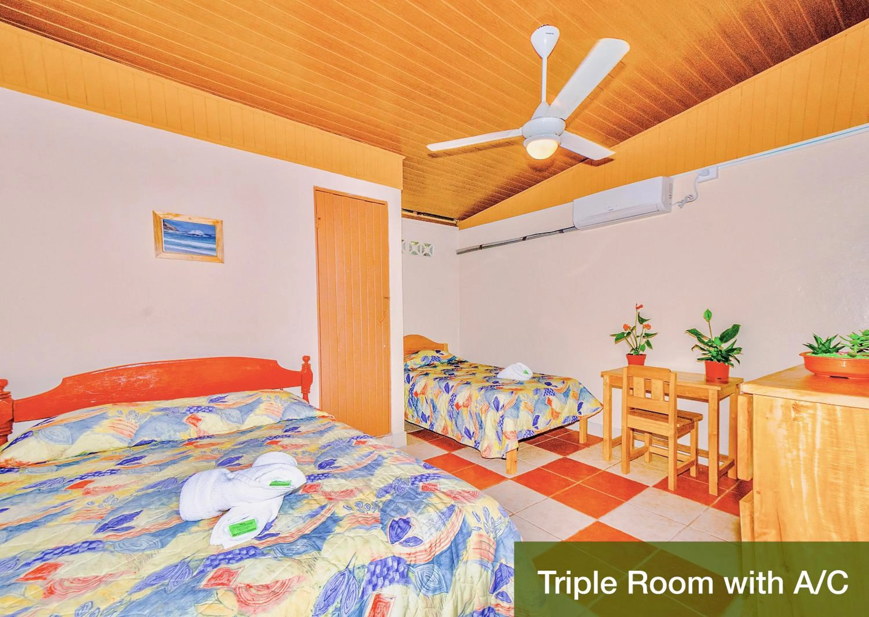 Photo of the whole room, Bed in Blue Iguana