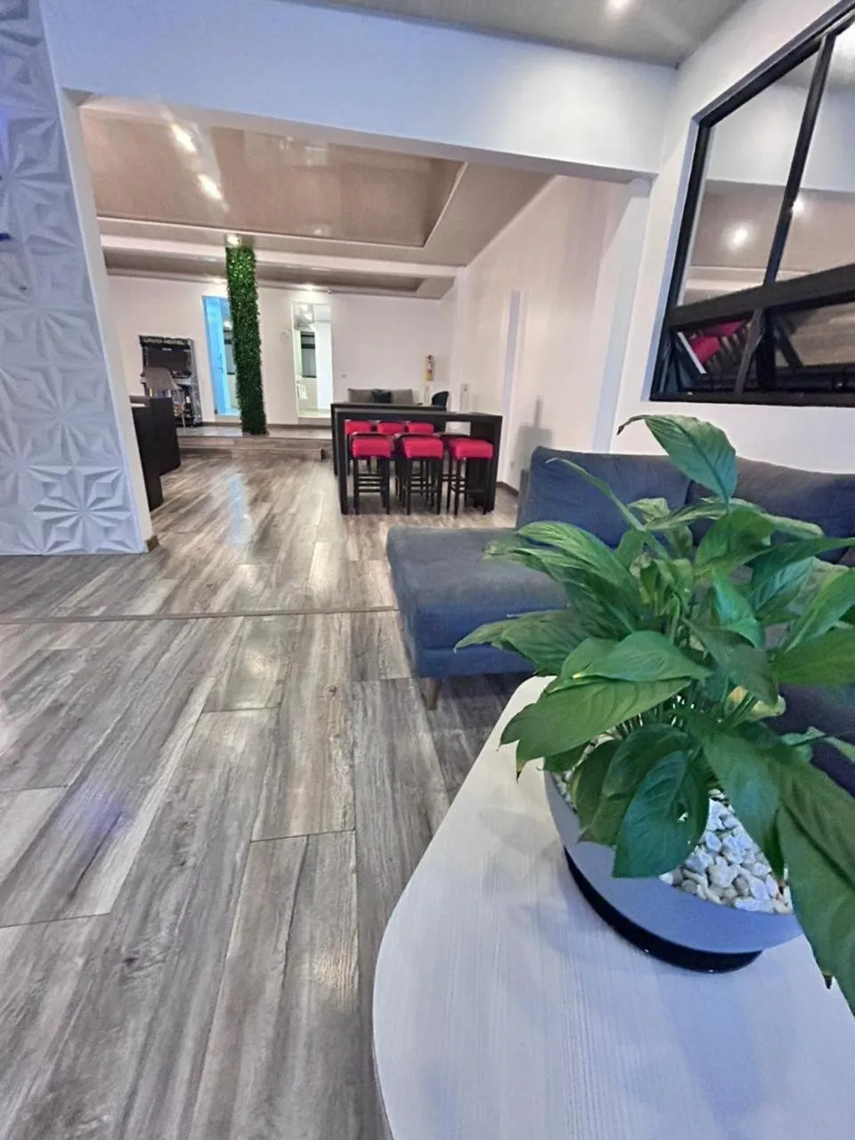 Restaurant/places to eat in Lavid Hotel Kennedy