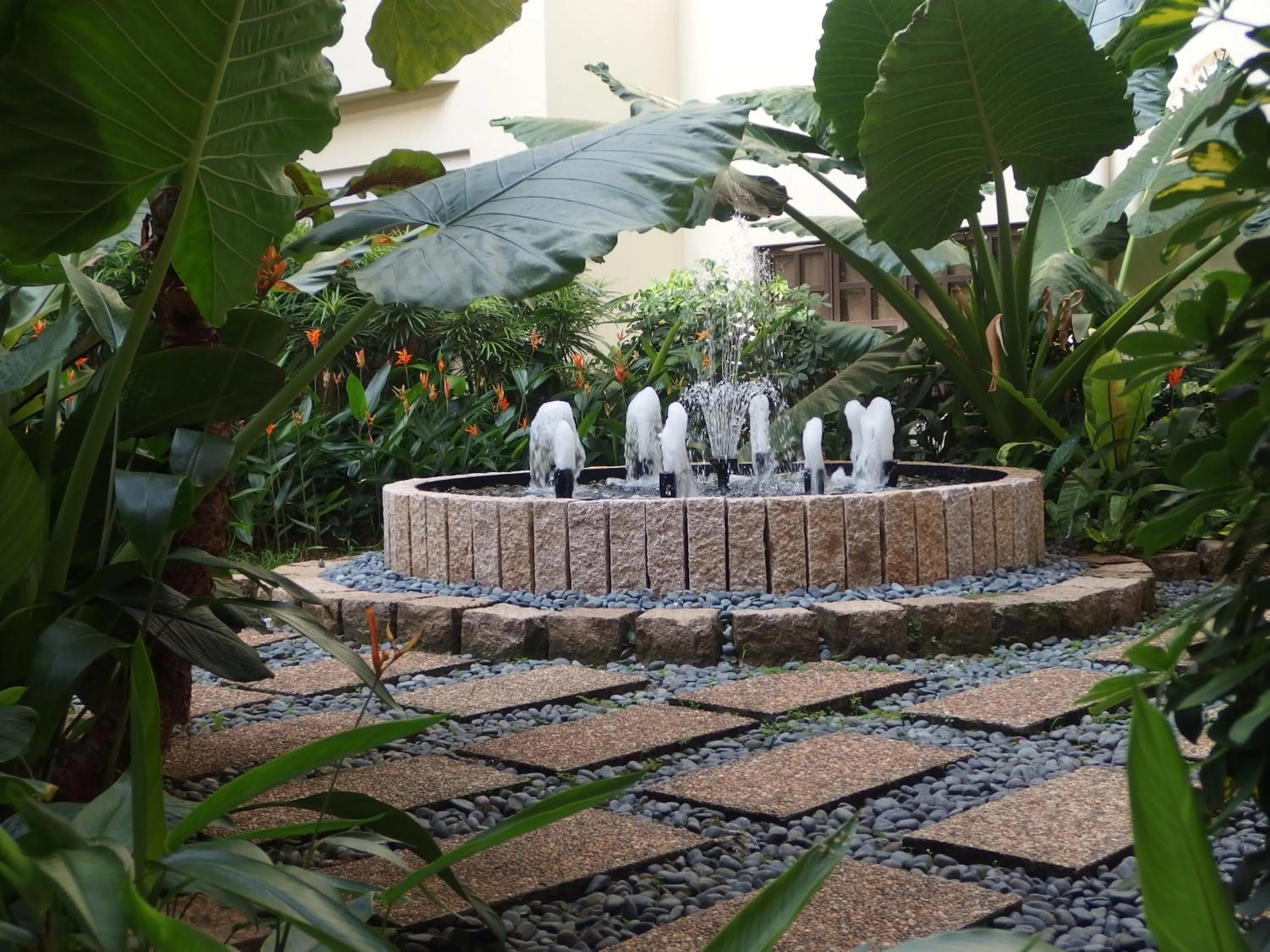 Garden in Alocassia Serviced Apartments