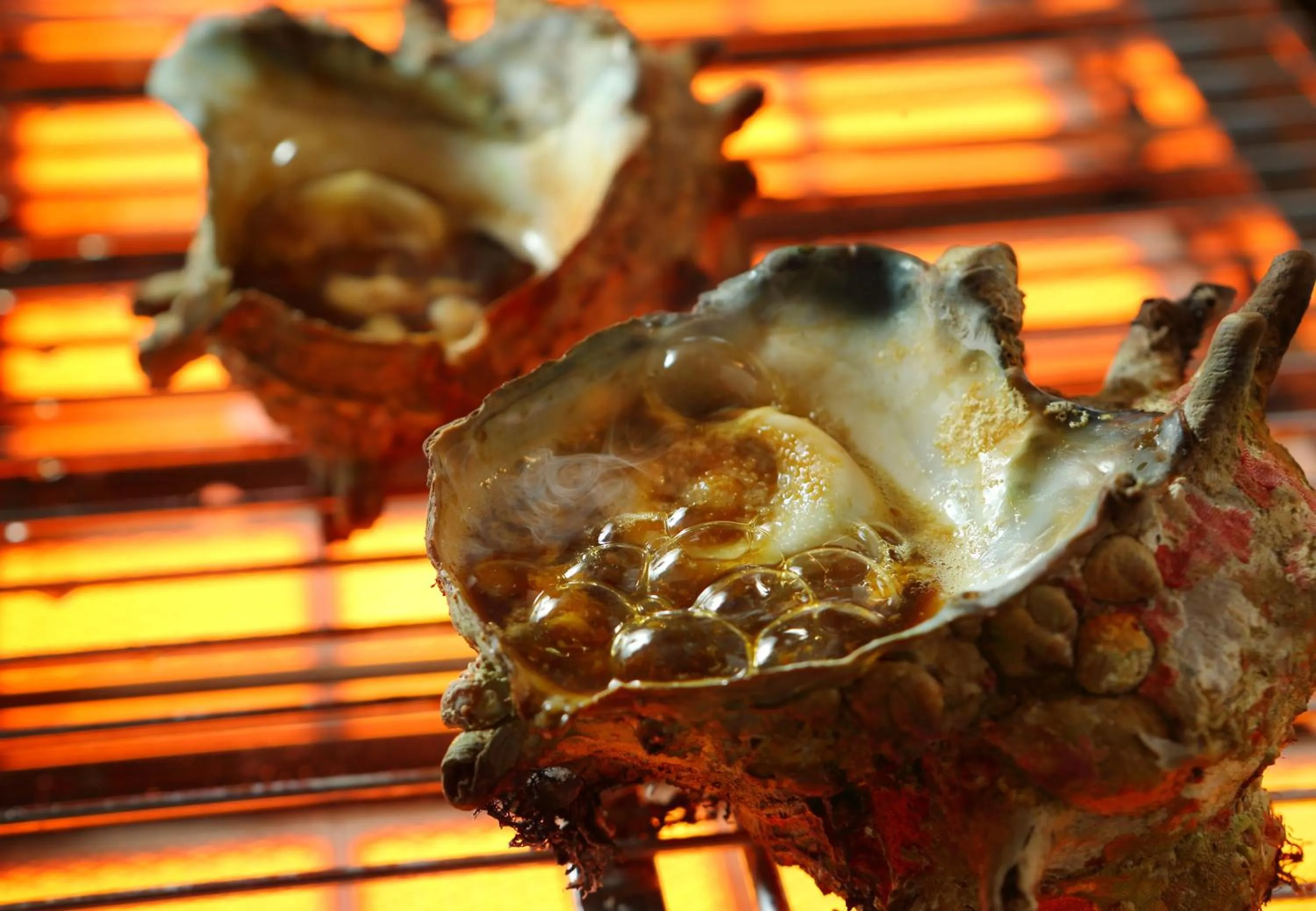 Restaurant/places to eat in Senri no Kaze