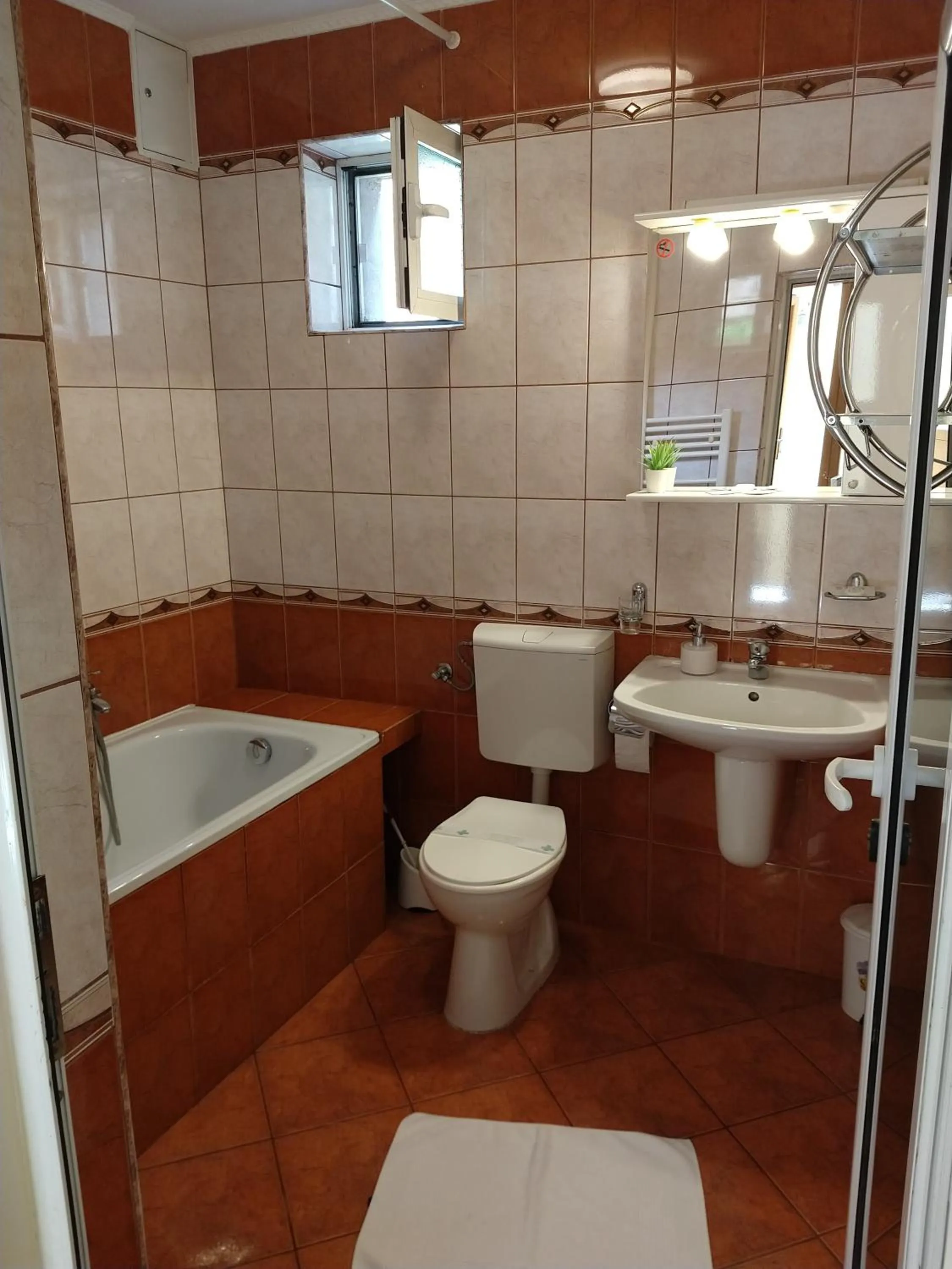 Bathroom in Pensiunea Magnolia