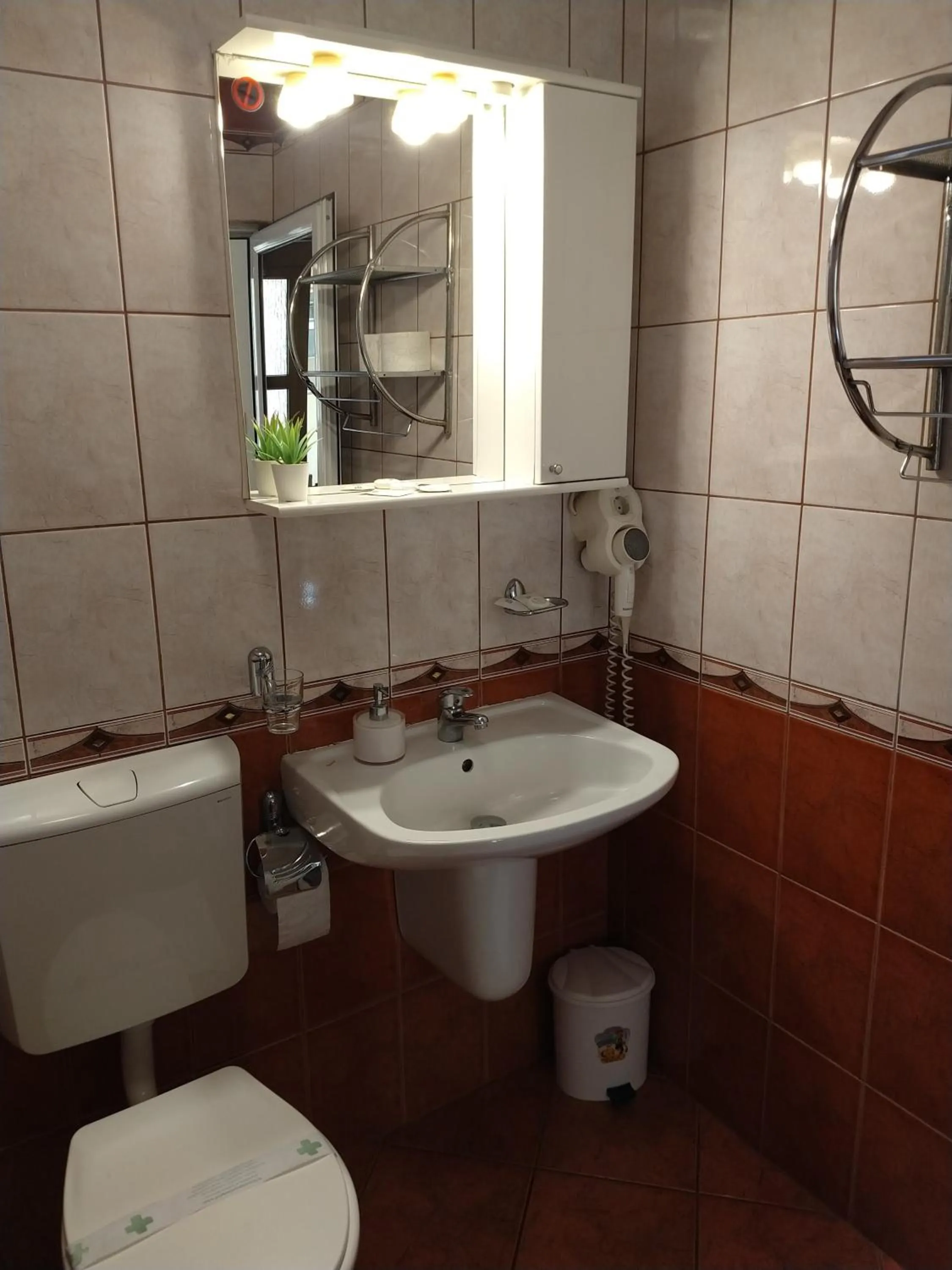 Bathroom in Pensiunea Magnolia