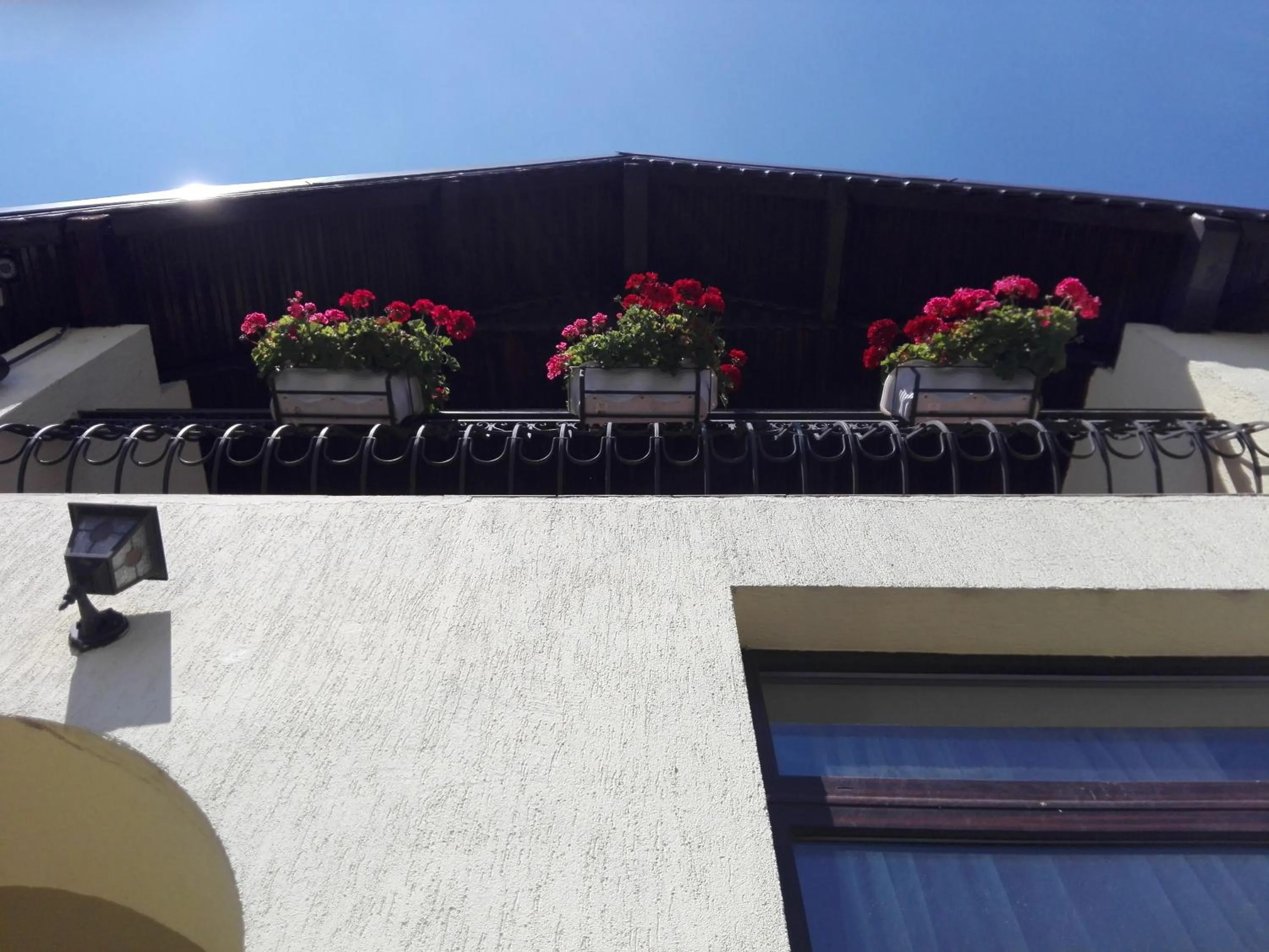 Decorative detail in Pensiunea Magnolia