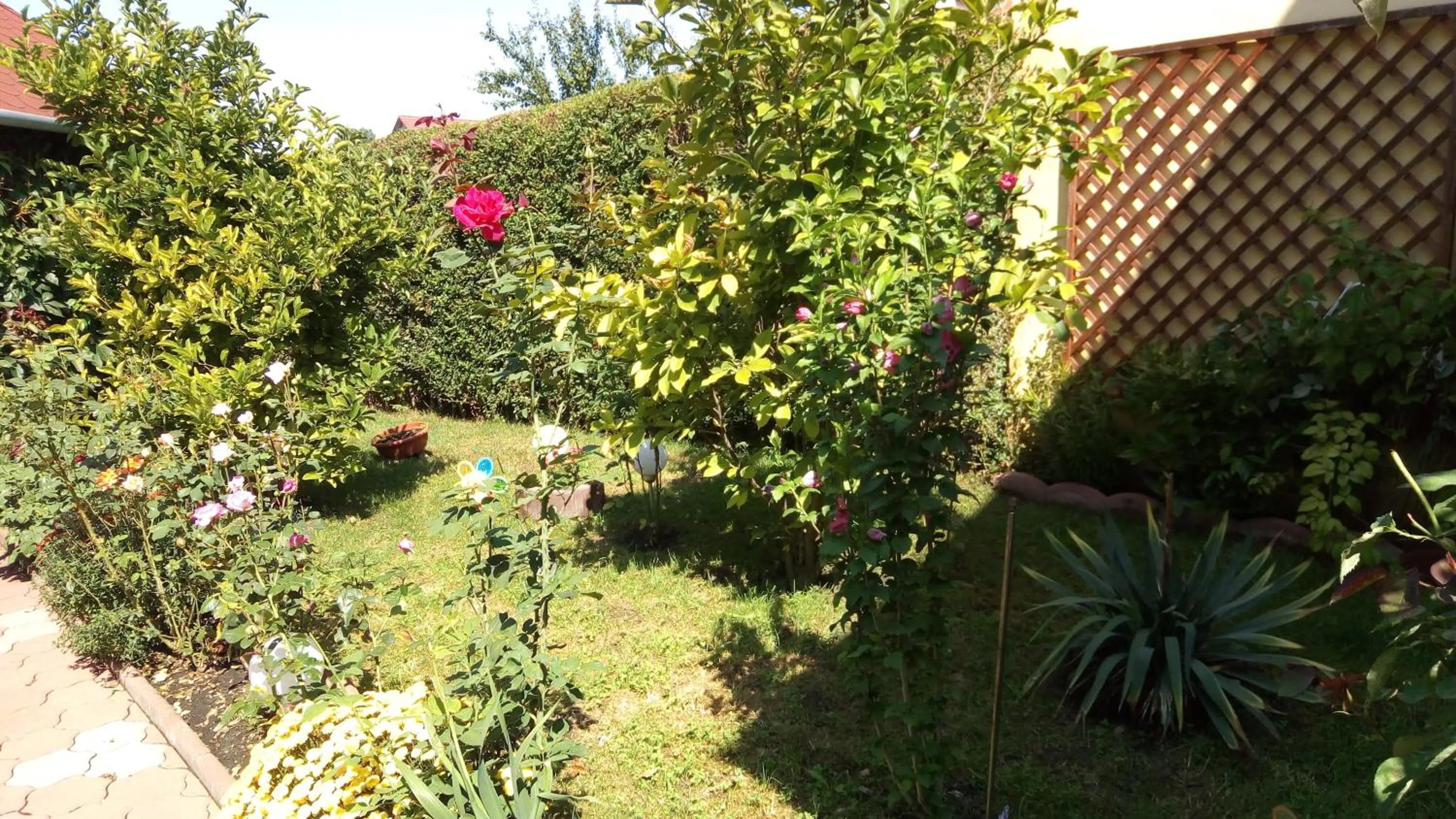 BBQ facilities in Pensiunea Magnolia