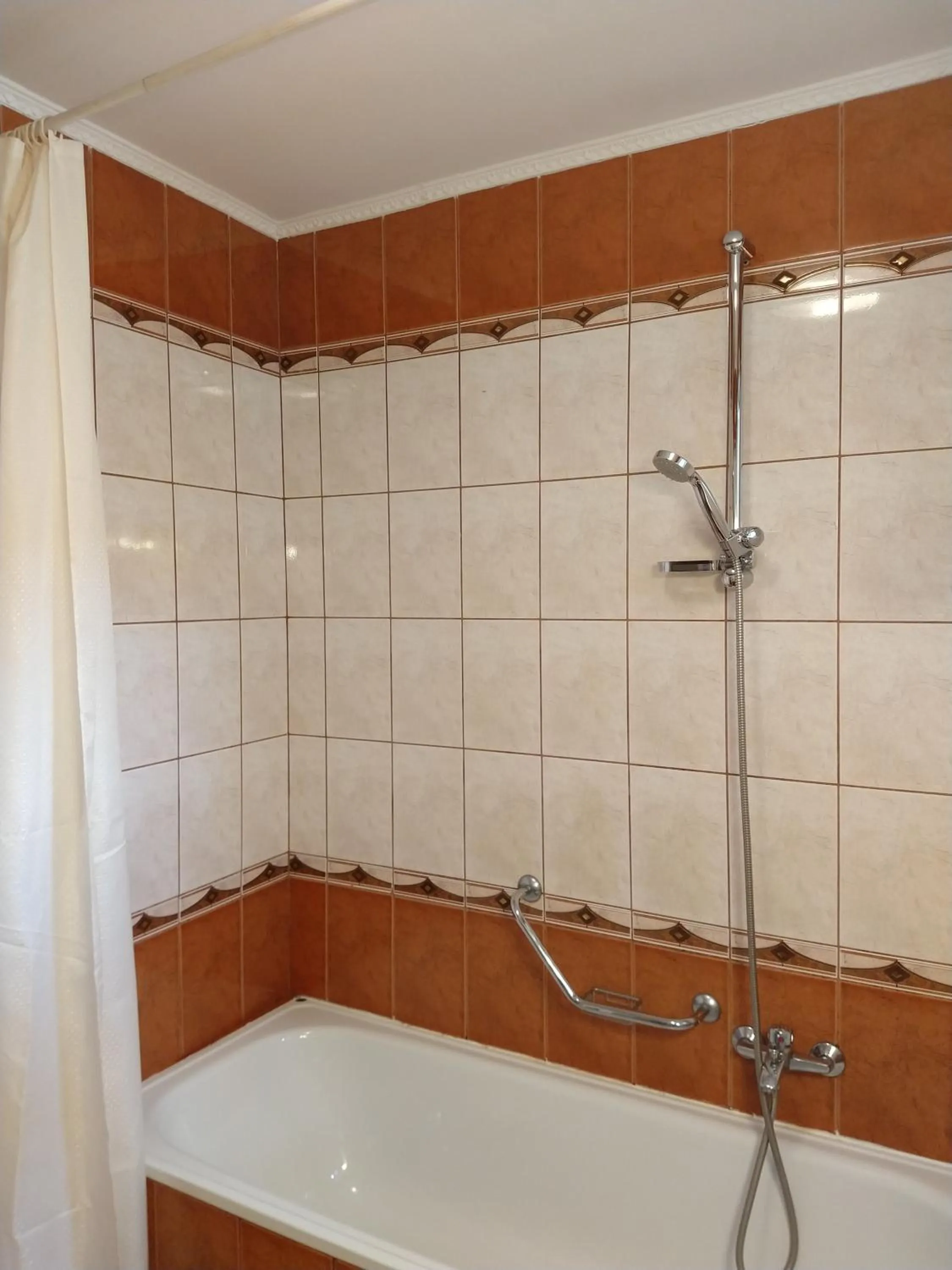 Bathroom in Pensiunea Magnolia