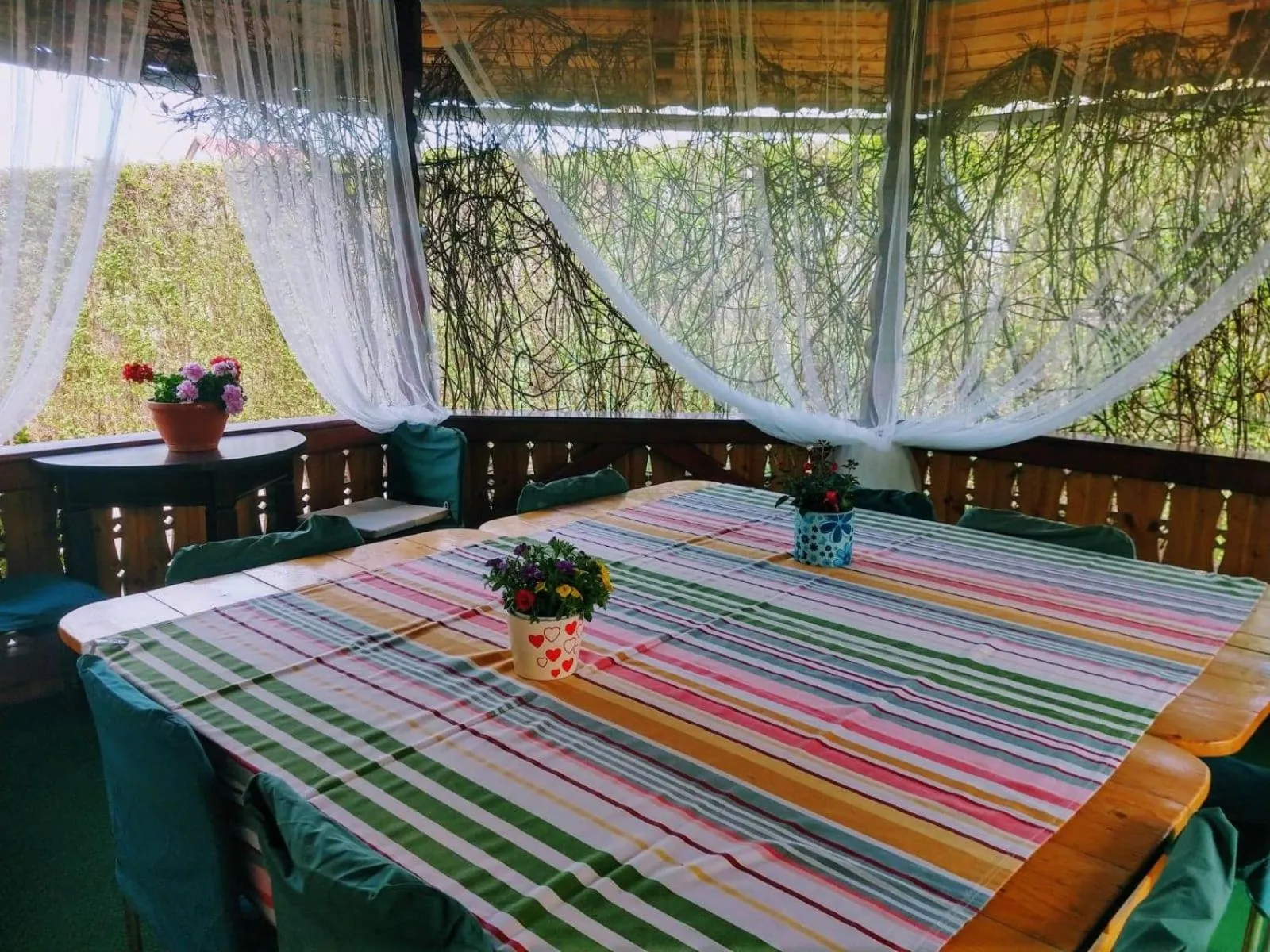 BBQ facilities in Pensiunea Magnolia