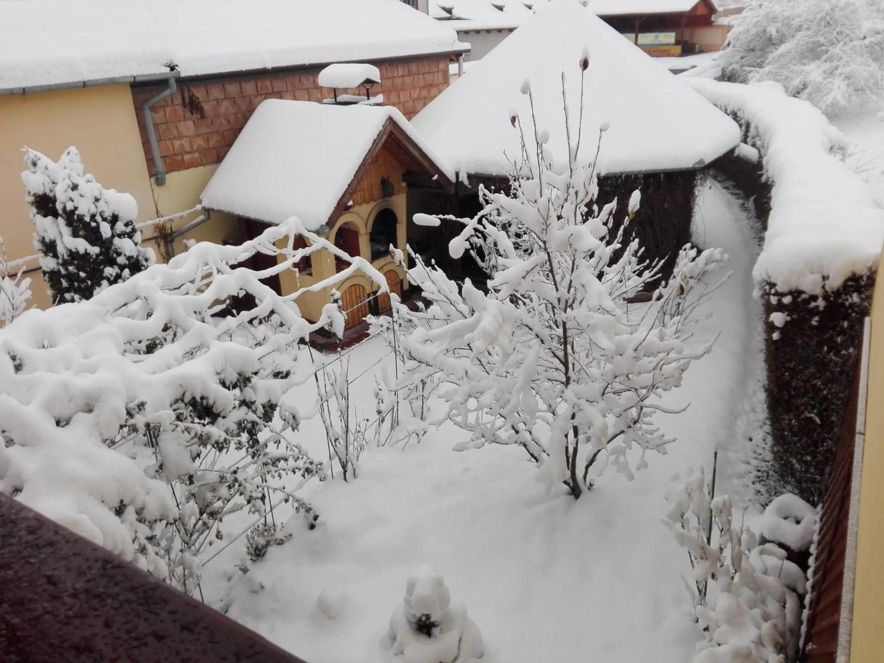 BBQ facilities in Pensiunea Magnolia