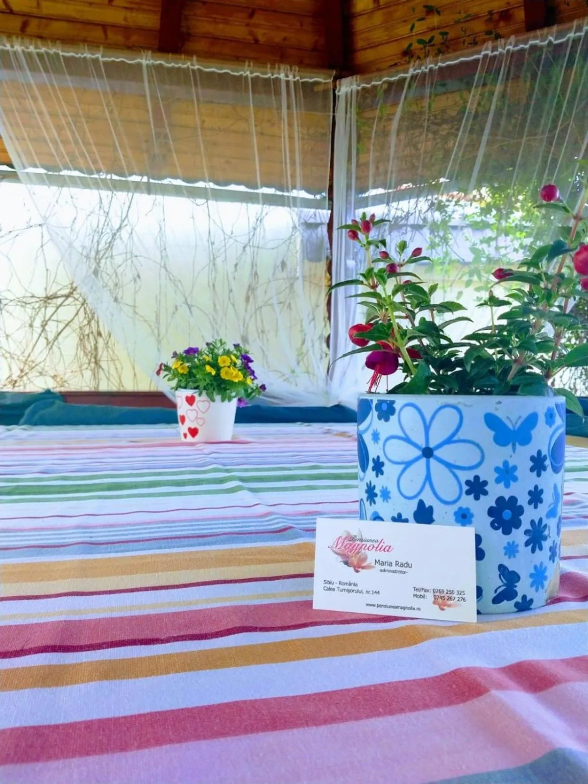 BBQ facilities in Pensiunea Magnolia