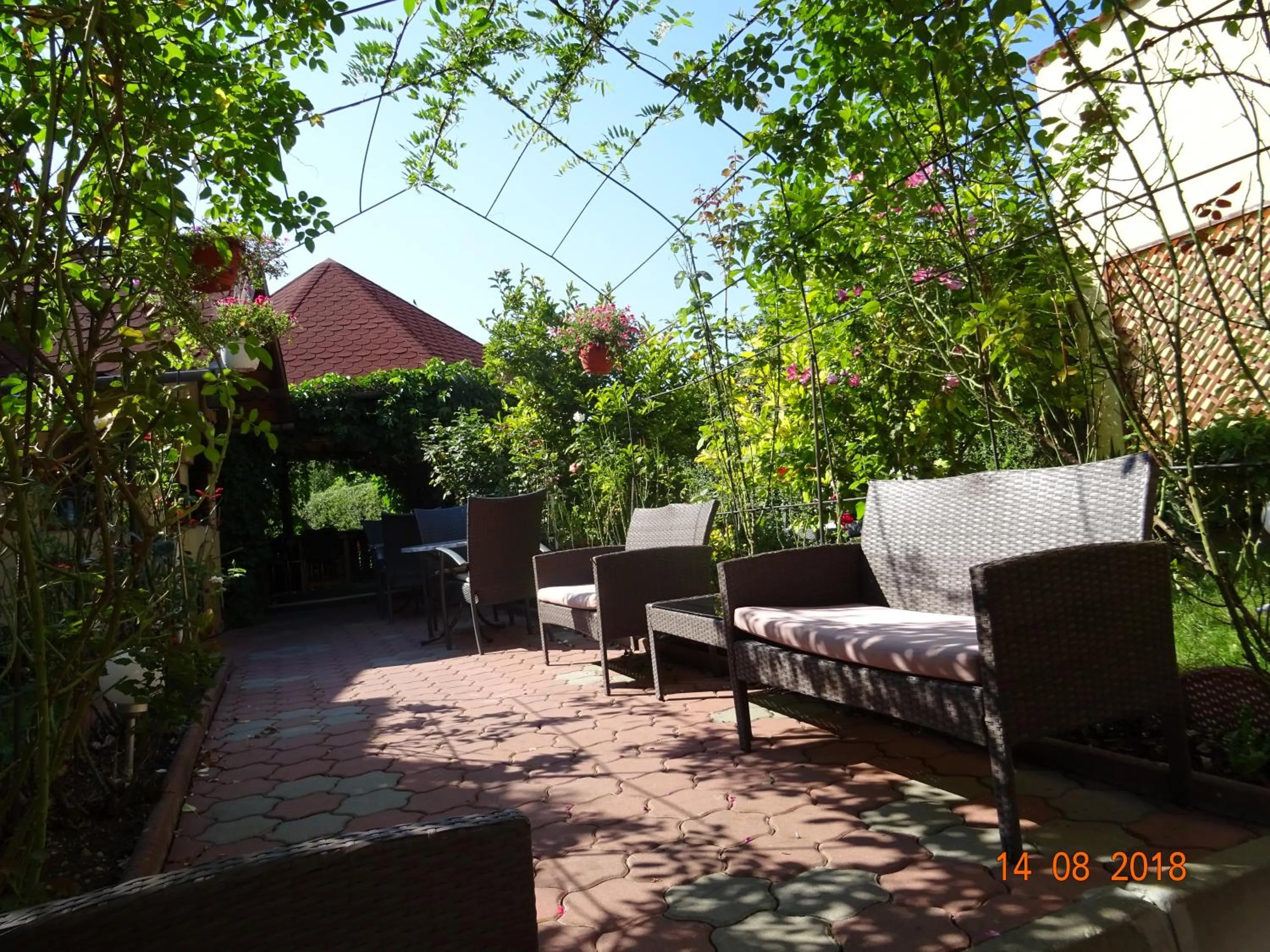 Garden in Pensiunea Magnolia