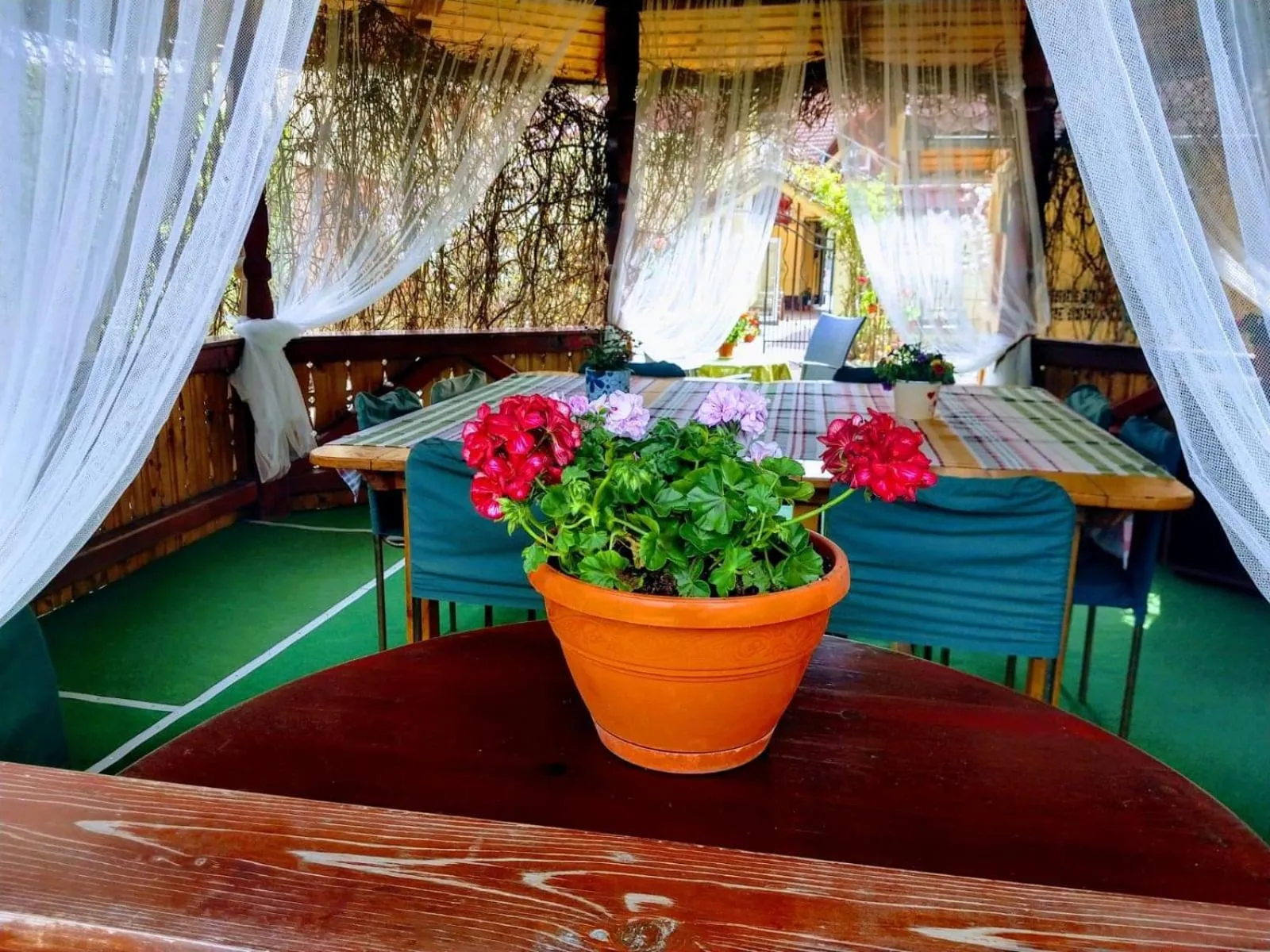 BBQ facilities in Pensiunea Magnolia