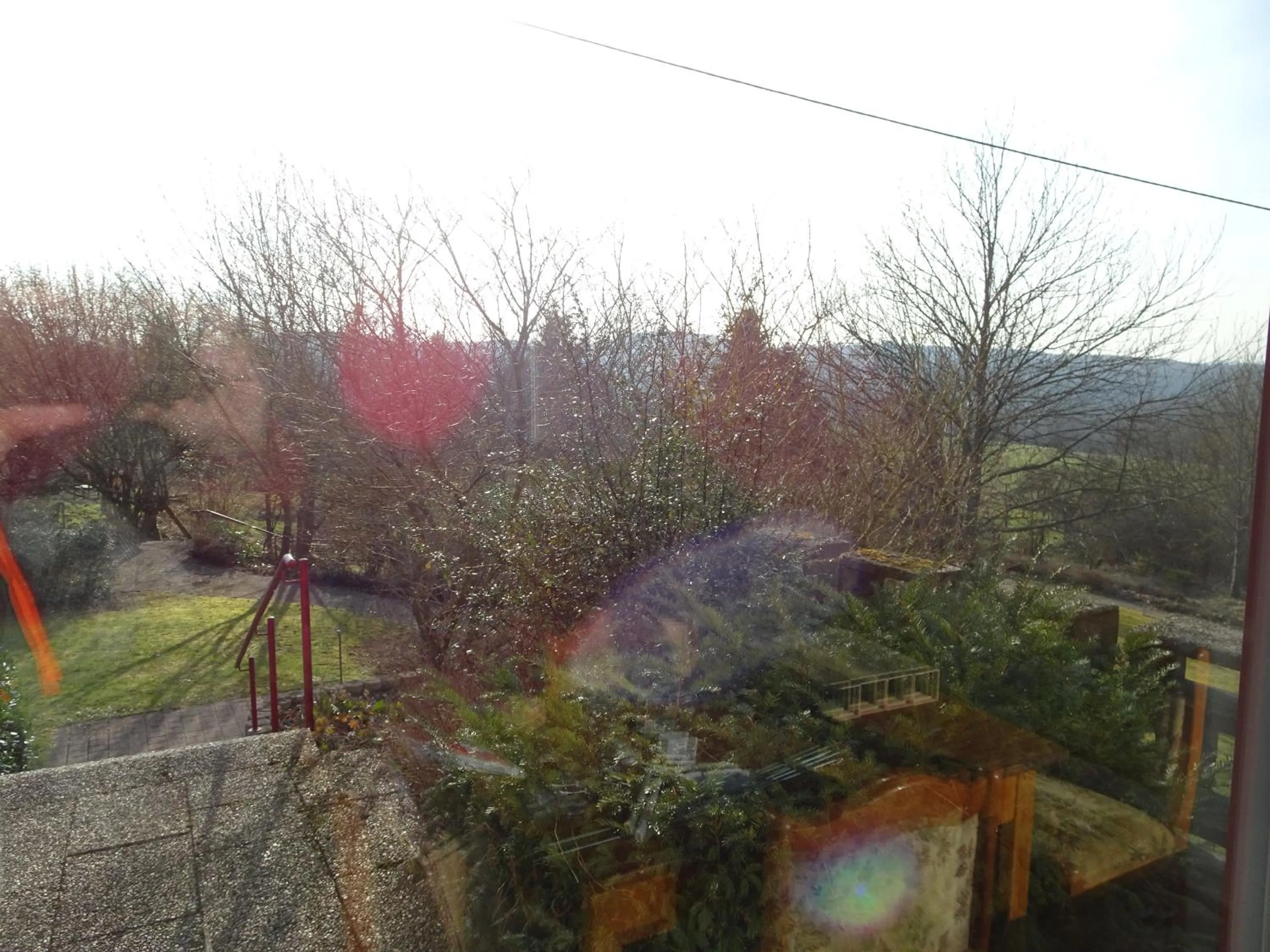 Garden in Hotel-Pension Schlossgarten