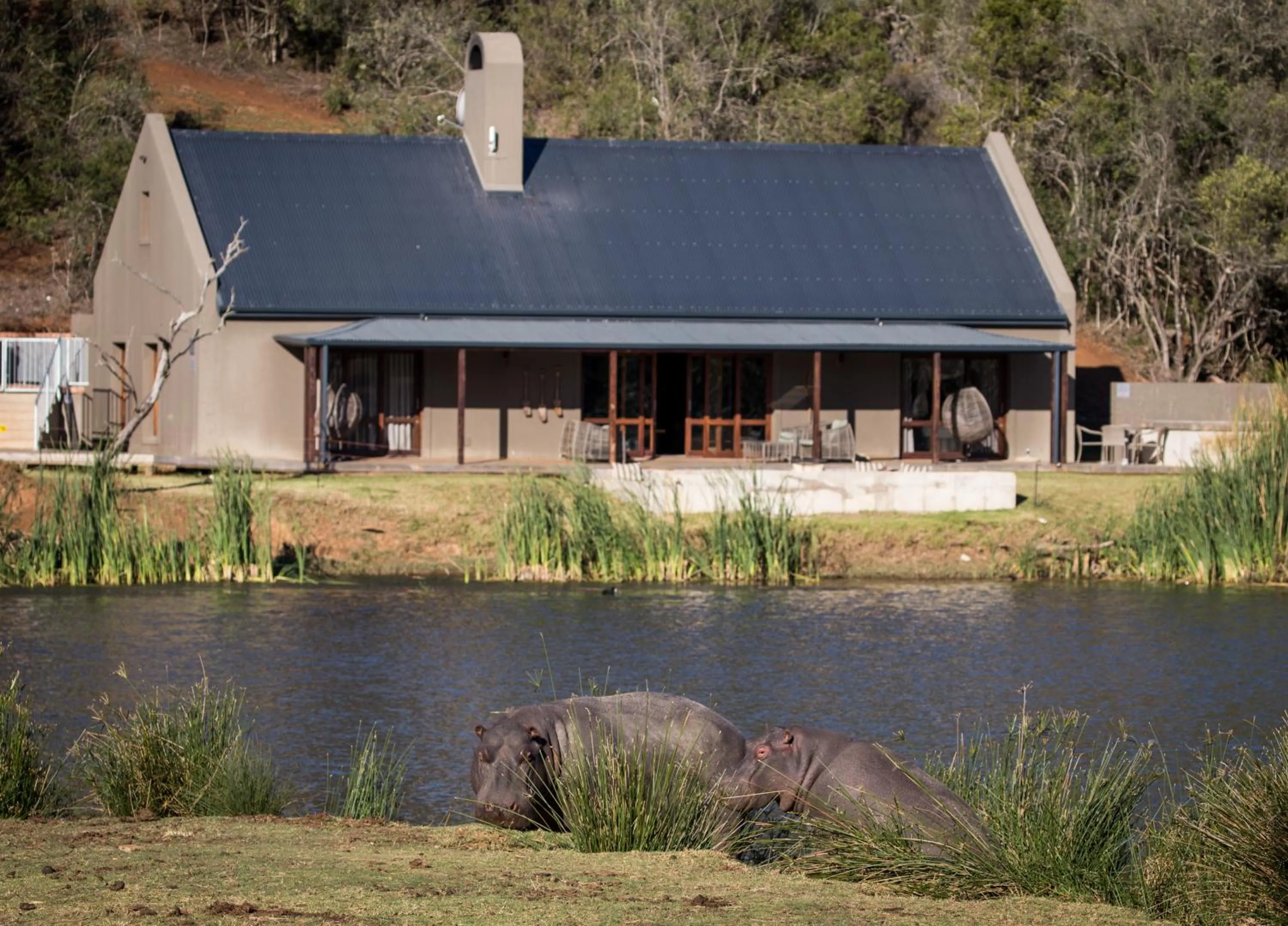 Animals in Botlierskop Bush Villas