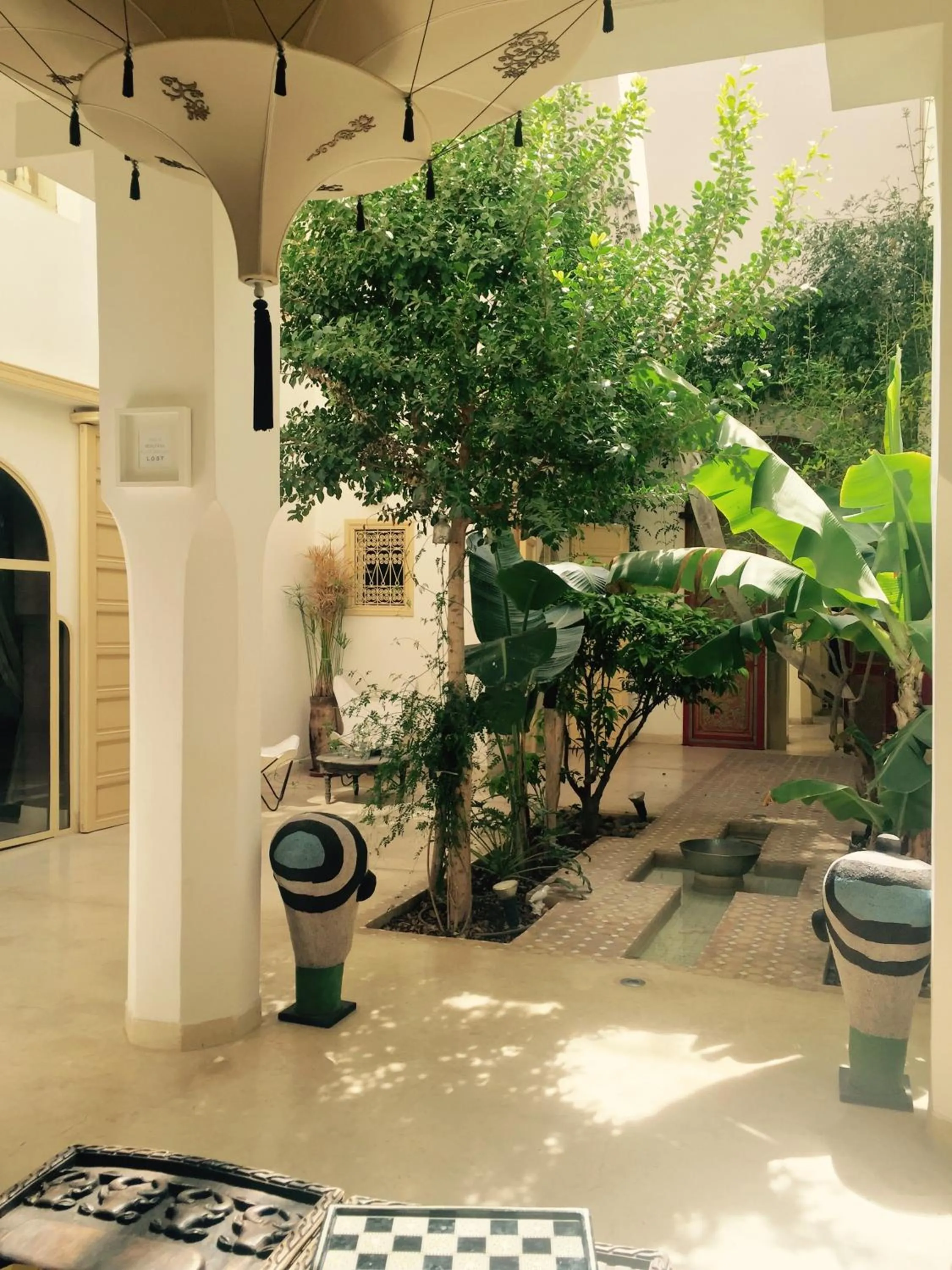 Garden in Riad 144