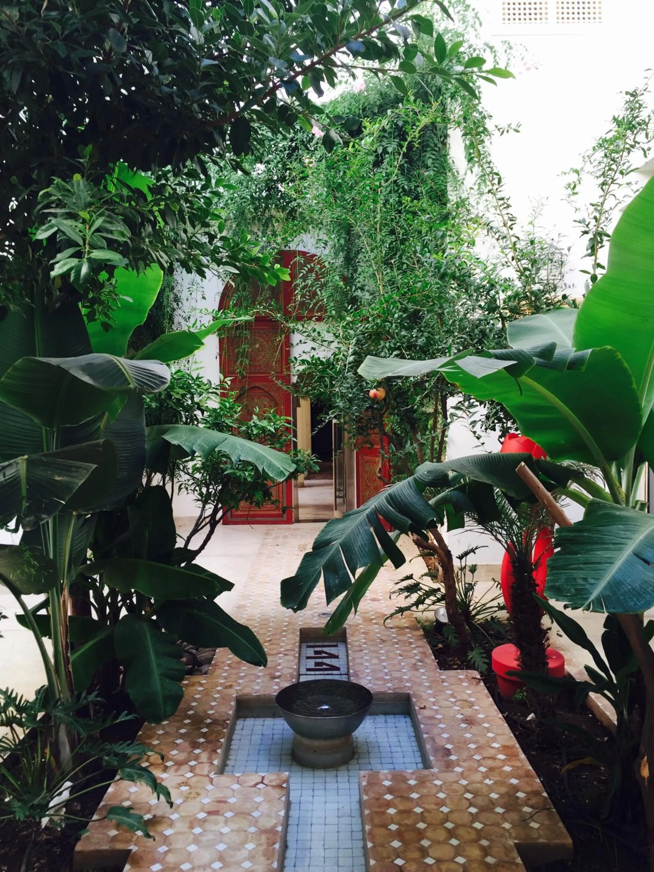 Garden in Riad 144