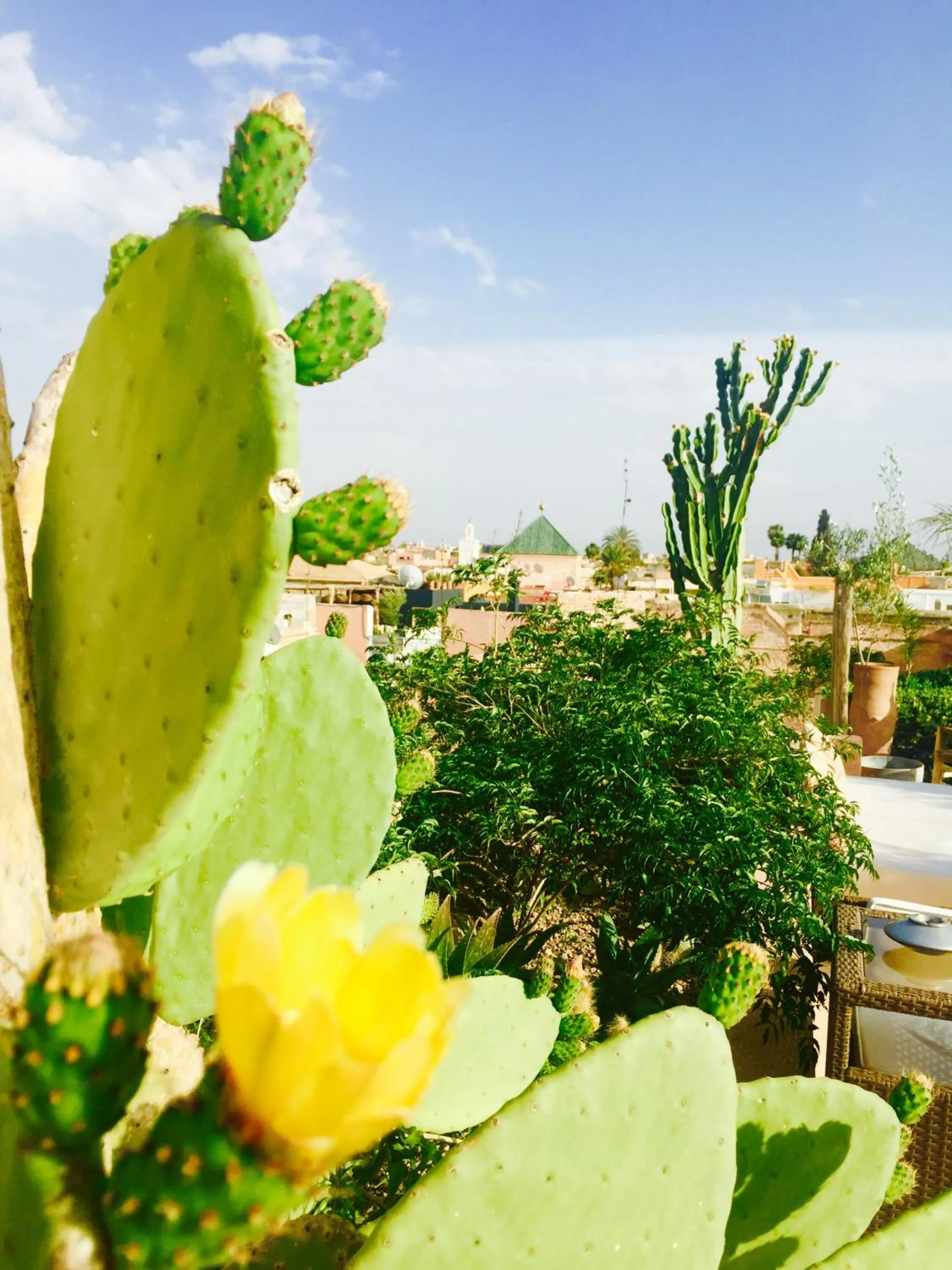 Balcony/Terrace in Riad 144
