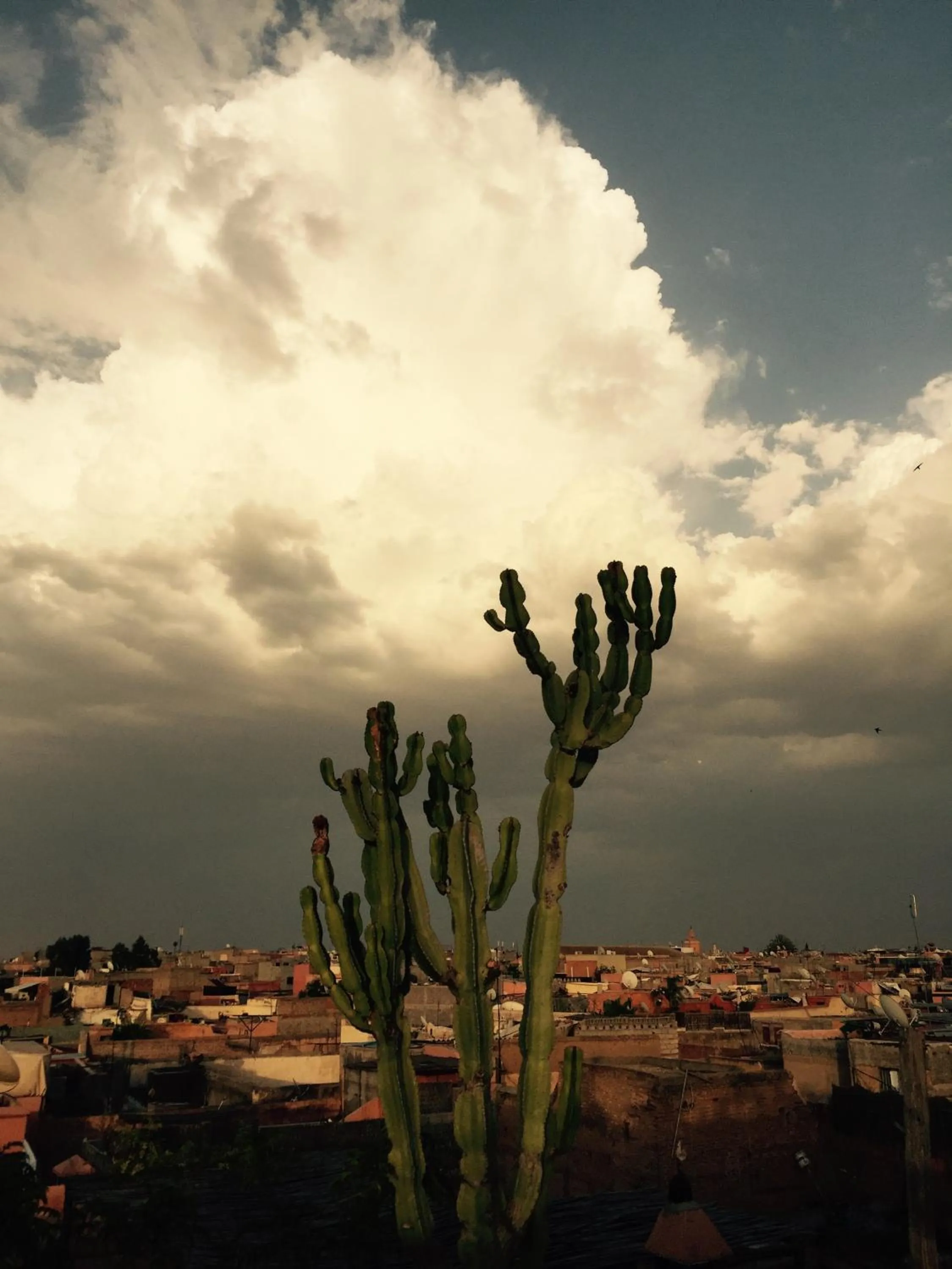 City view in Riad 144