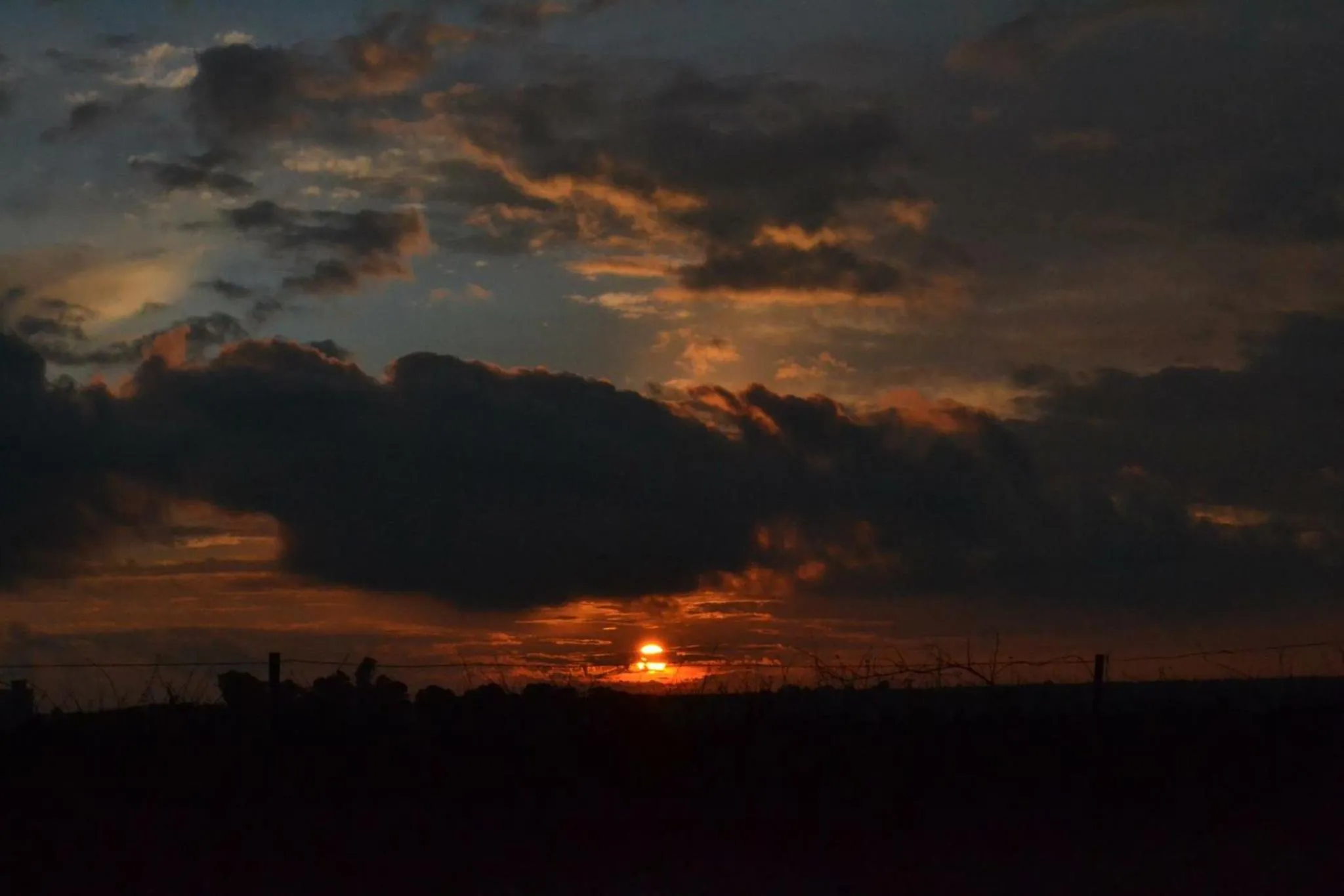 Winter in B&B Terre dì Montecoco