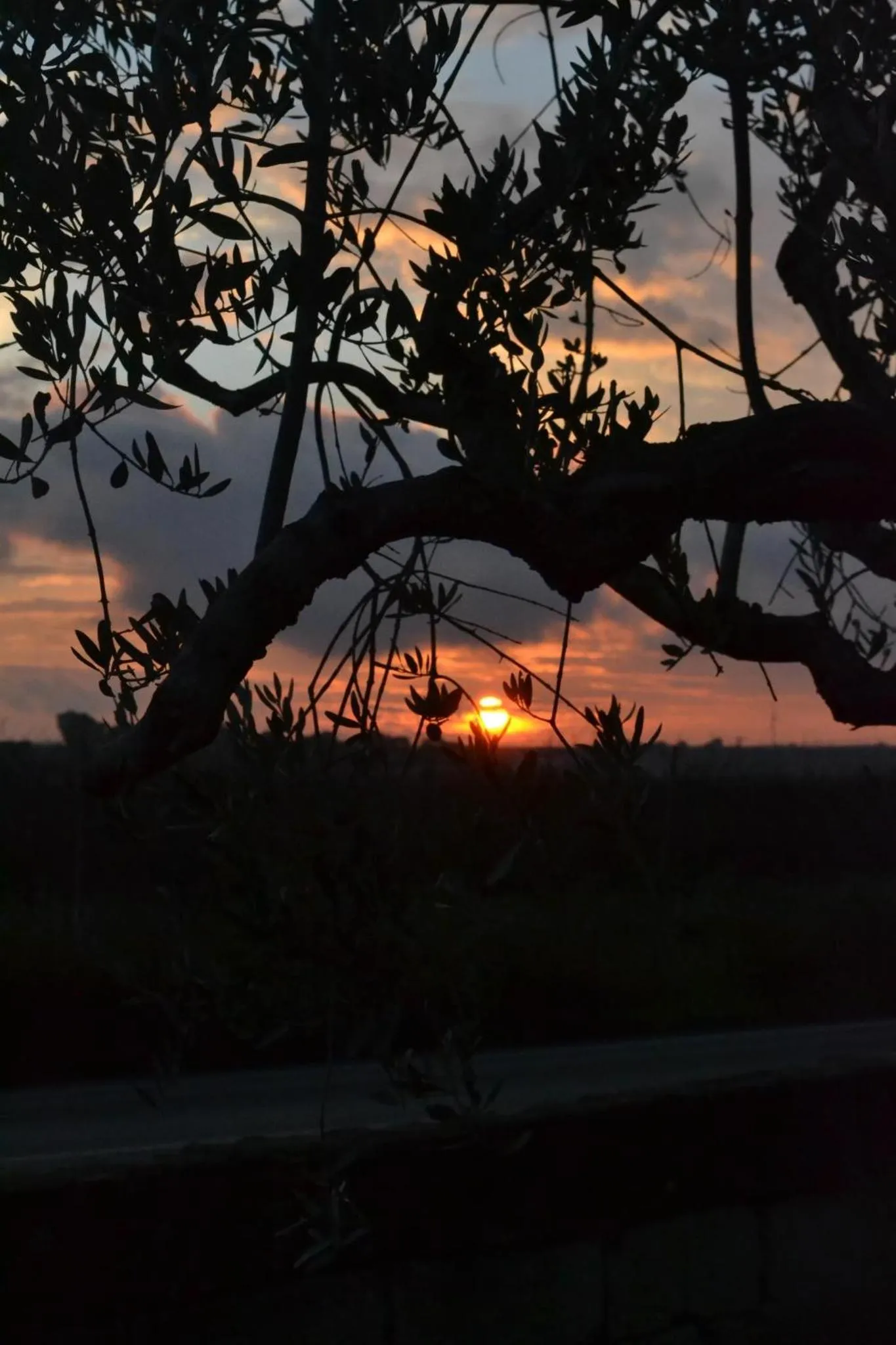 Winter in B&B Terre dì Montecoco