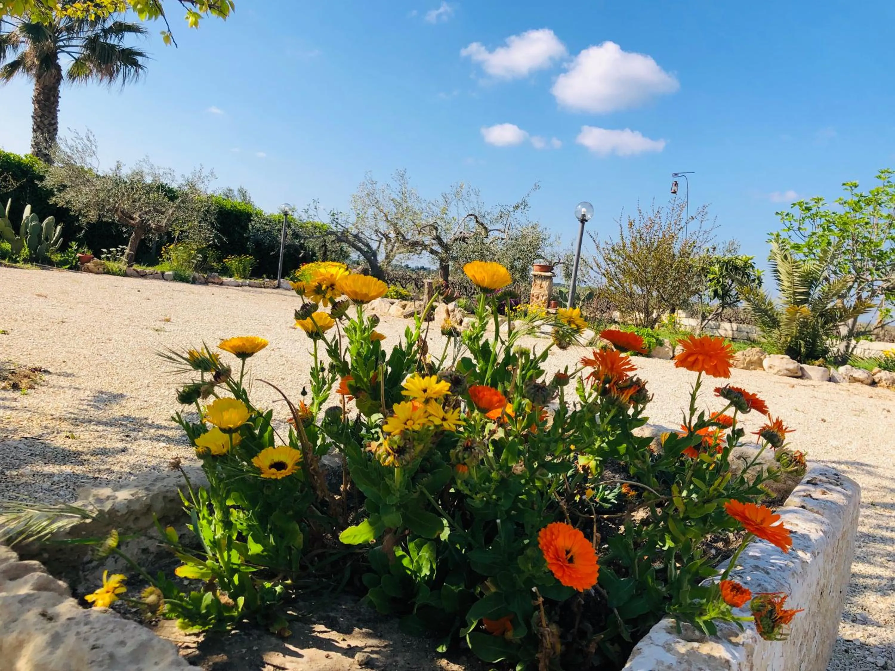 Garden view in B&B Terre dì Montecoco