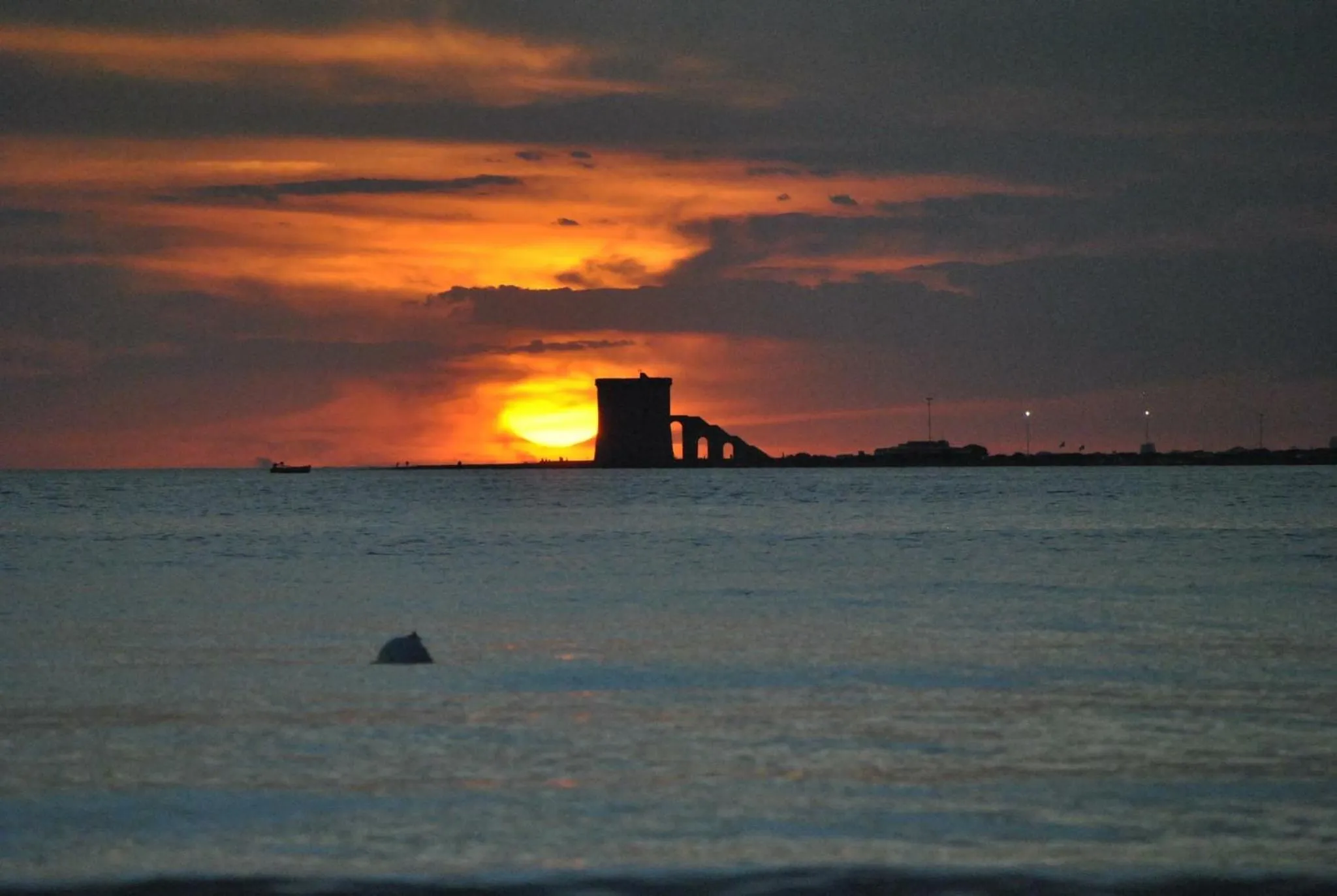 Summer in B&B Terre dì Montecoco