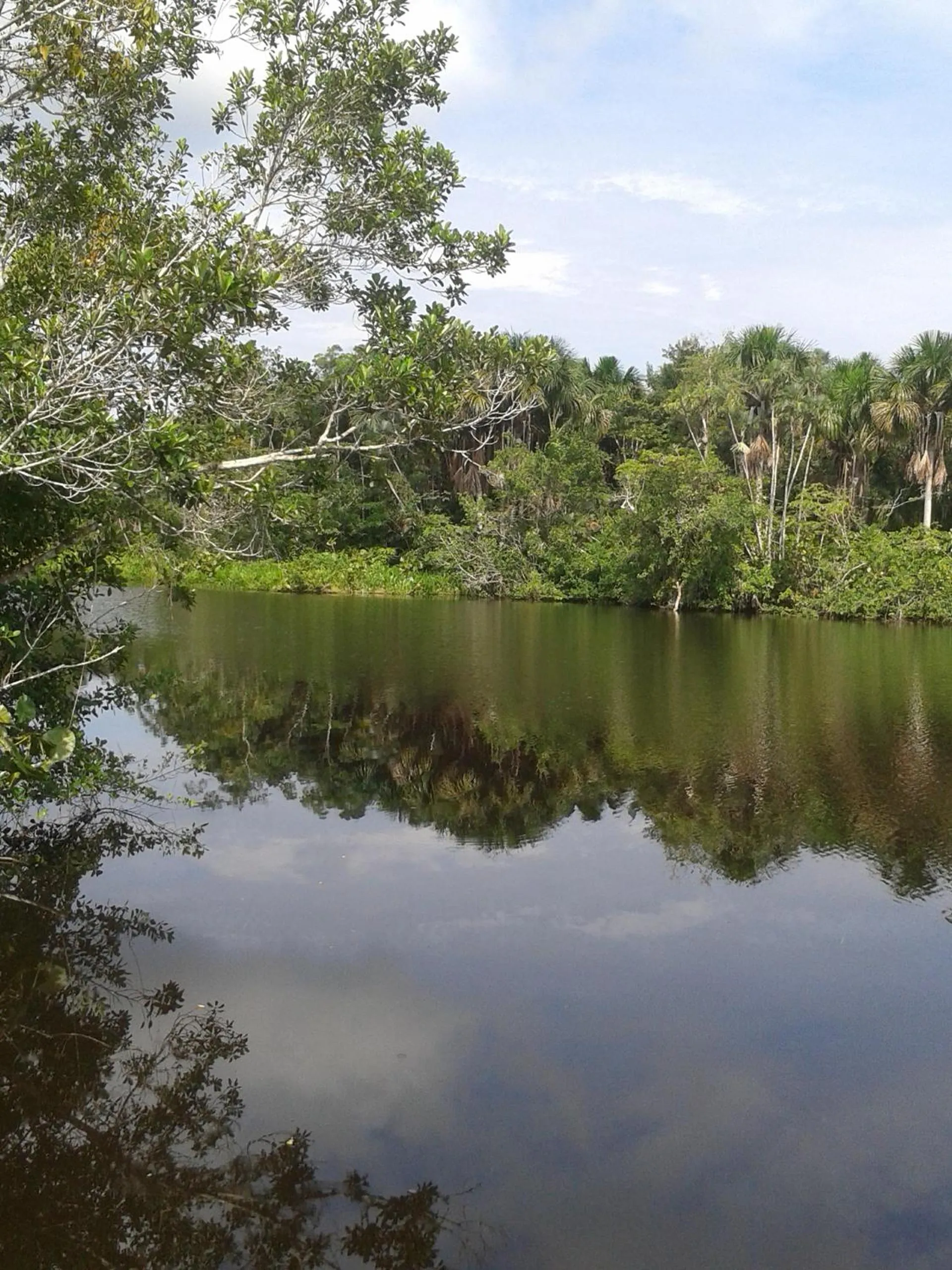 Natural landscape in Hotel Platinum Class
