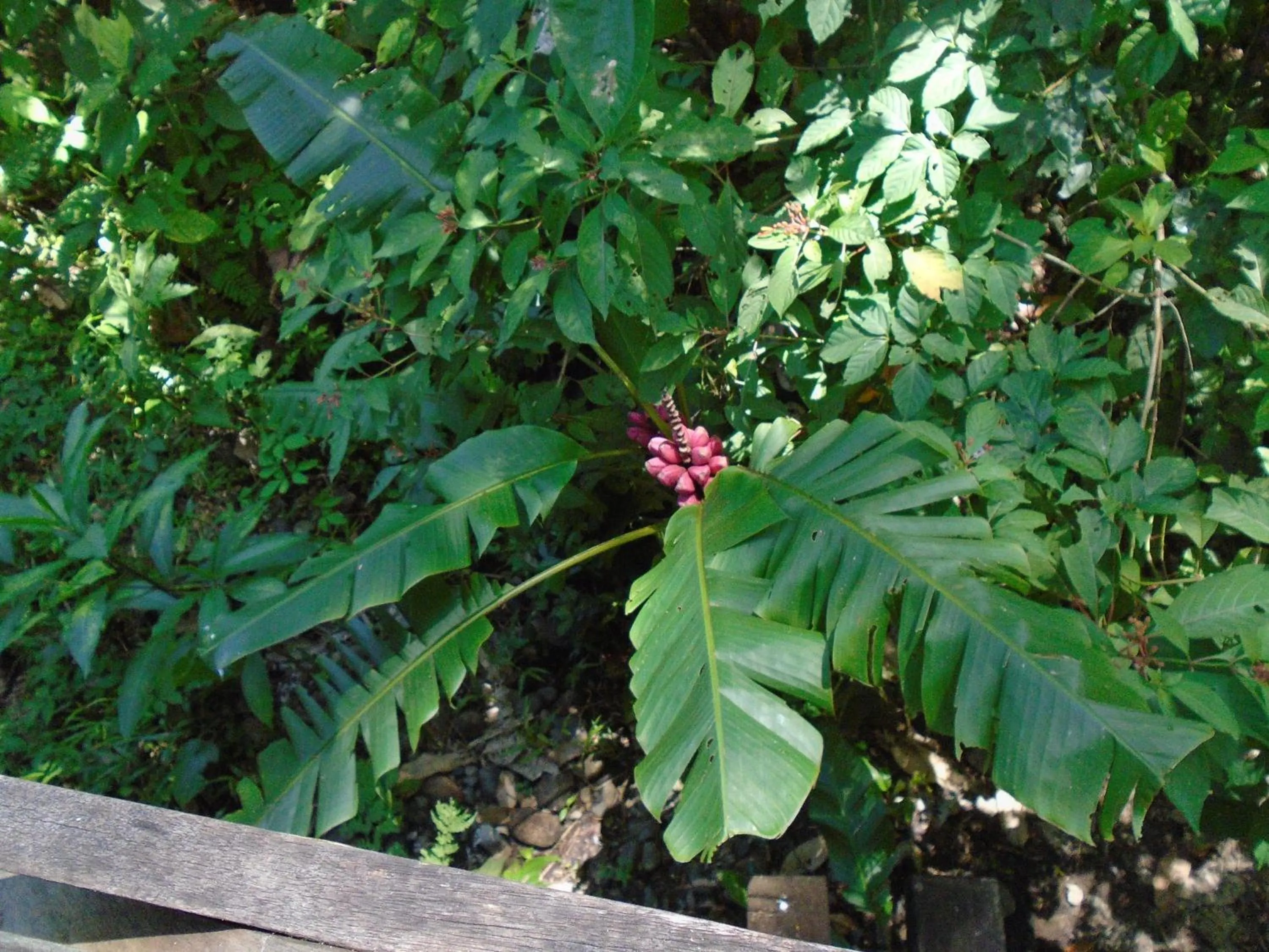 Nearby landmark in Hotel Platinum Class