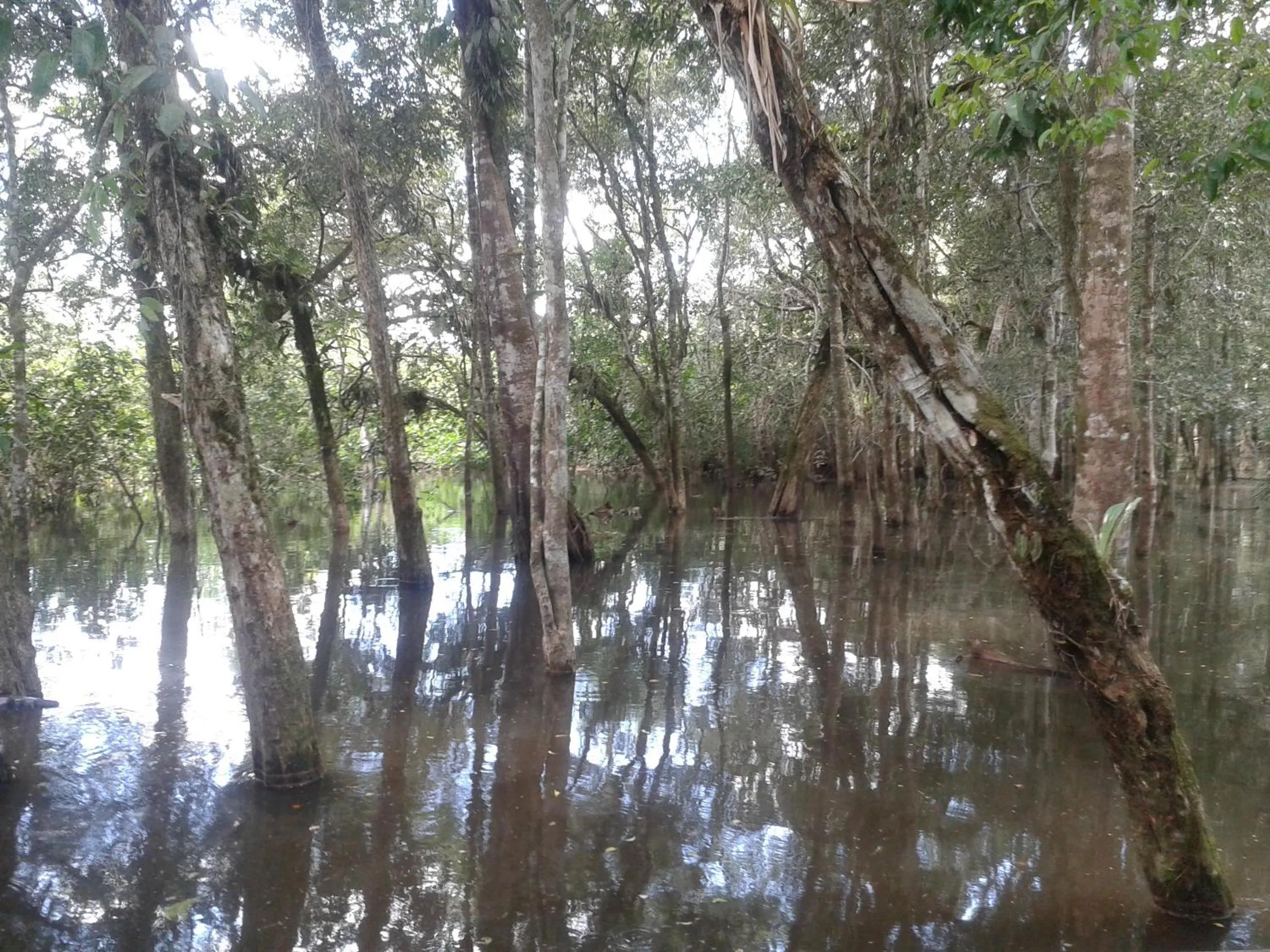 Natural landscape in Hotel Platinum Class