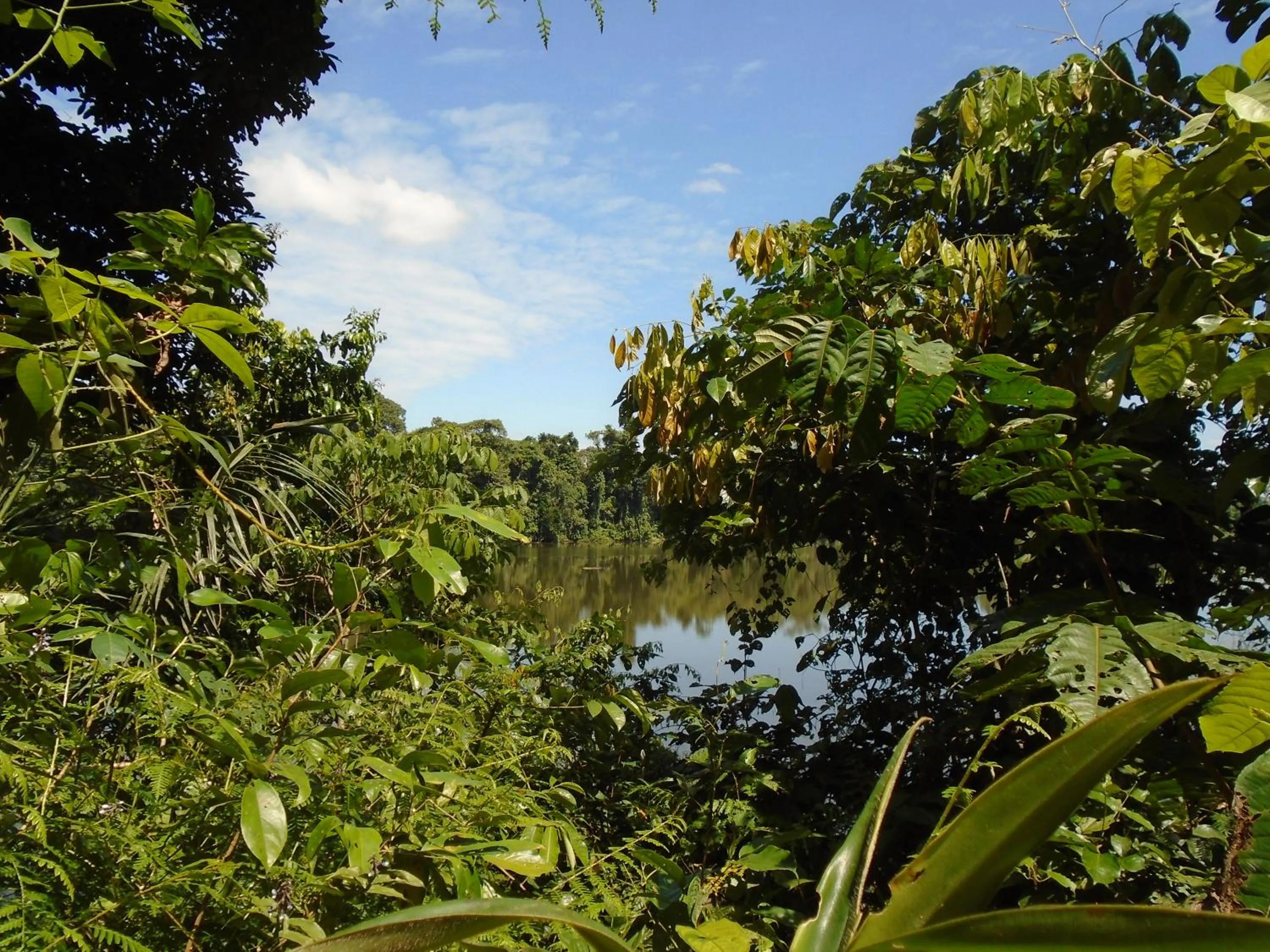 Nearby landmark in Hotel Platinum Class