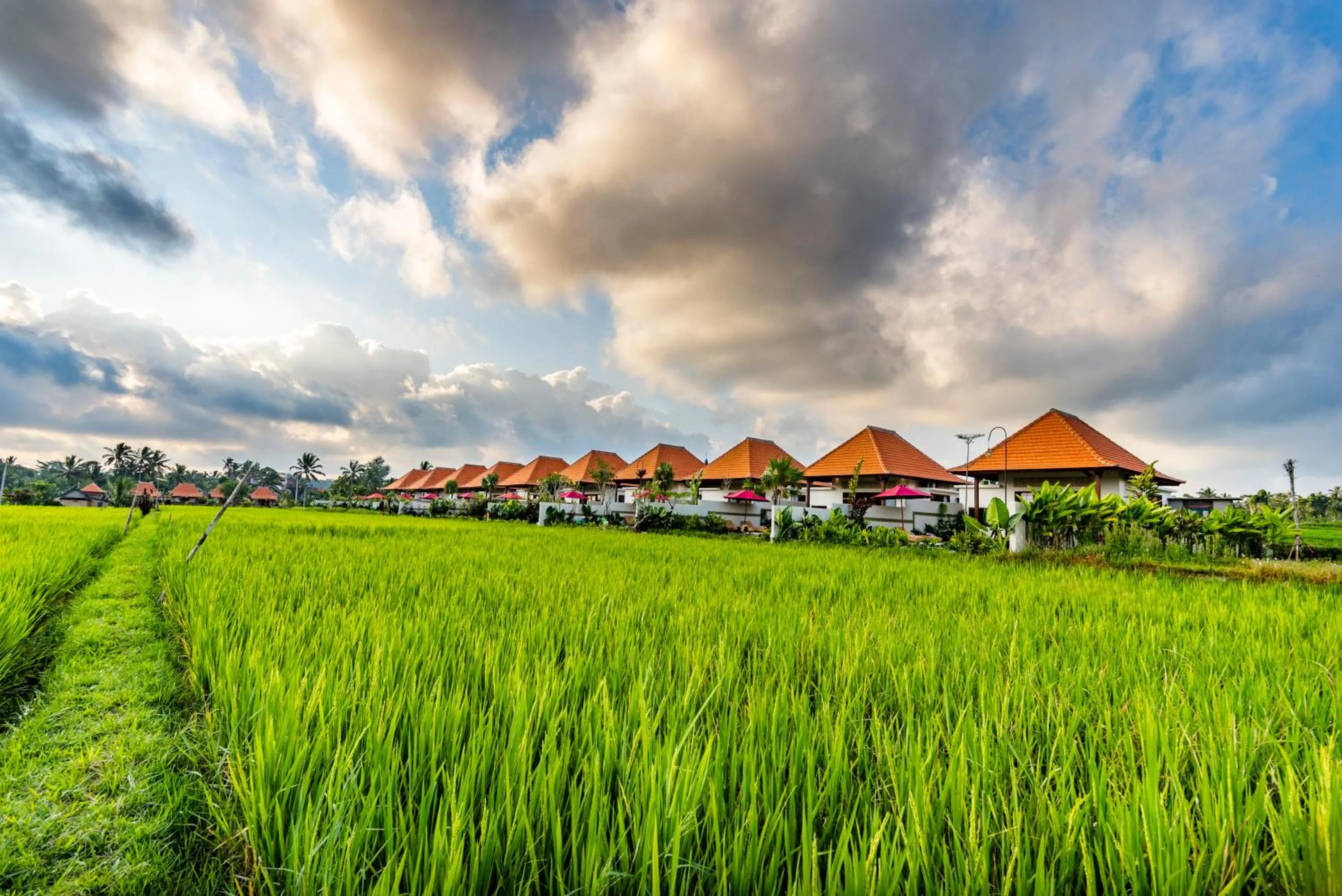 Property building in Akshaya Resort Ubud by Dhananjaya Hospitality