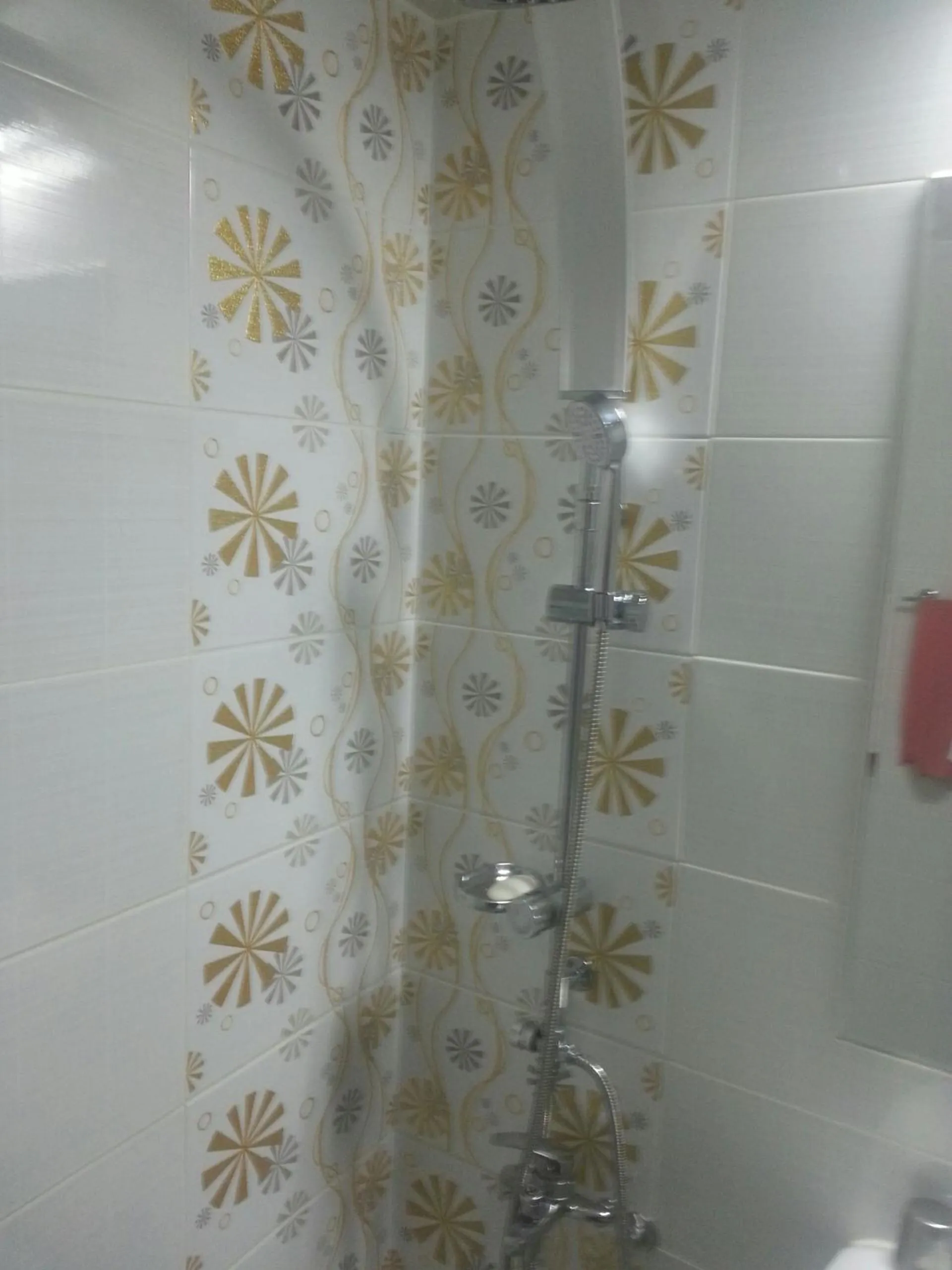 Shower in Hansol Hotel