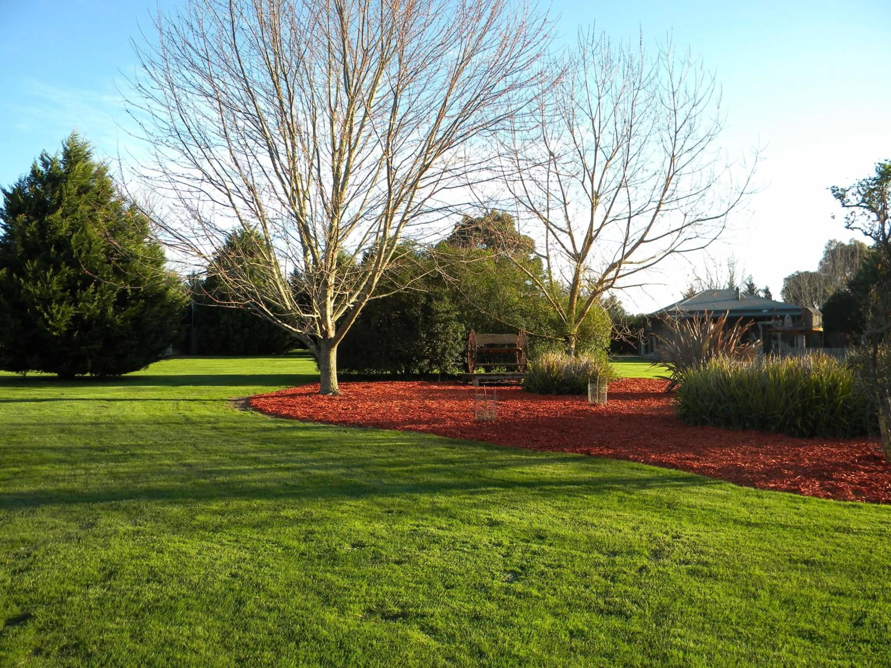 Garden view in Sanctuary Park Cottages