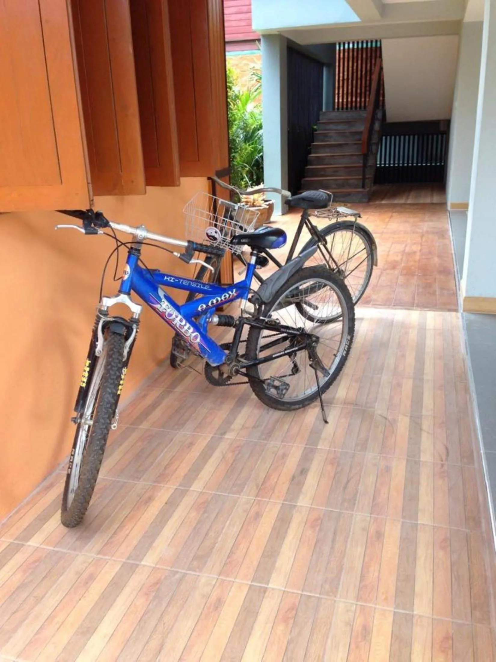 Cycling in Sukhothai Garden