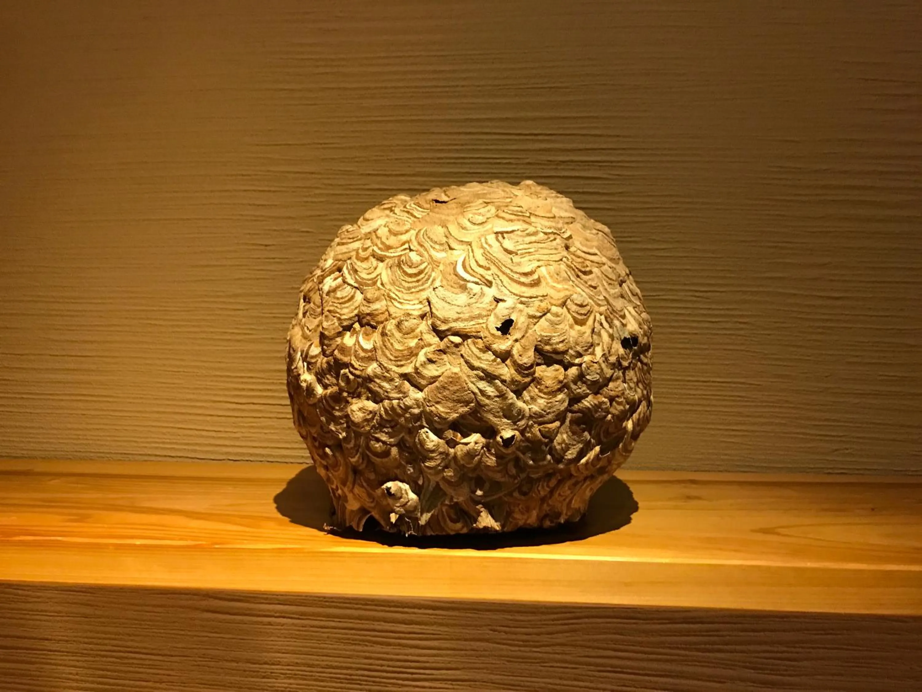 Decorative detail in Mozumo (Adult Only)