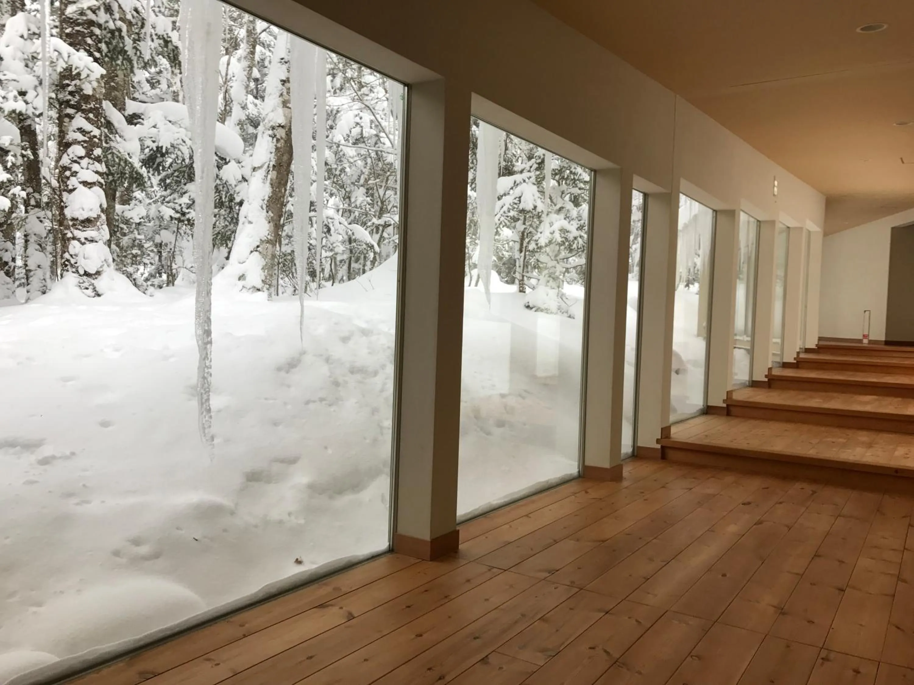 View (from property/room) in Mozumo (Adult Only)