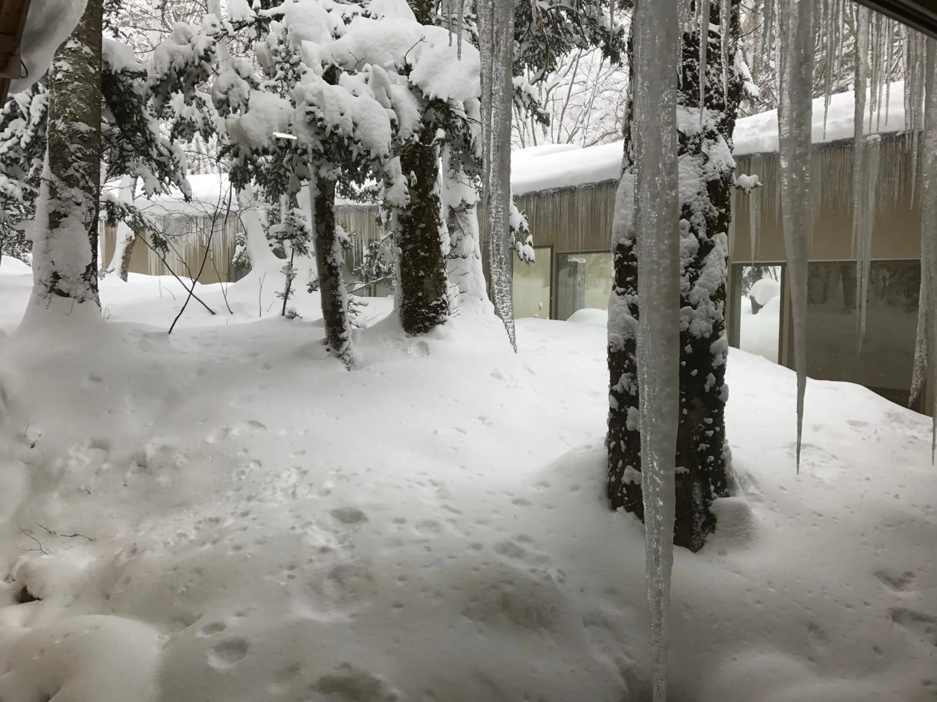 View (from property/room) in Mozumo (Adult Only)