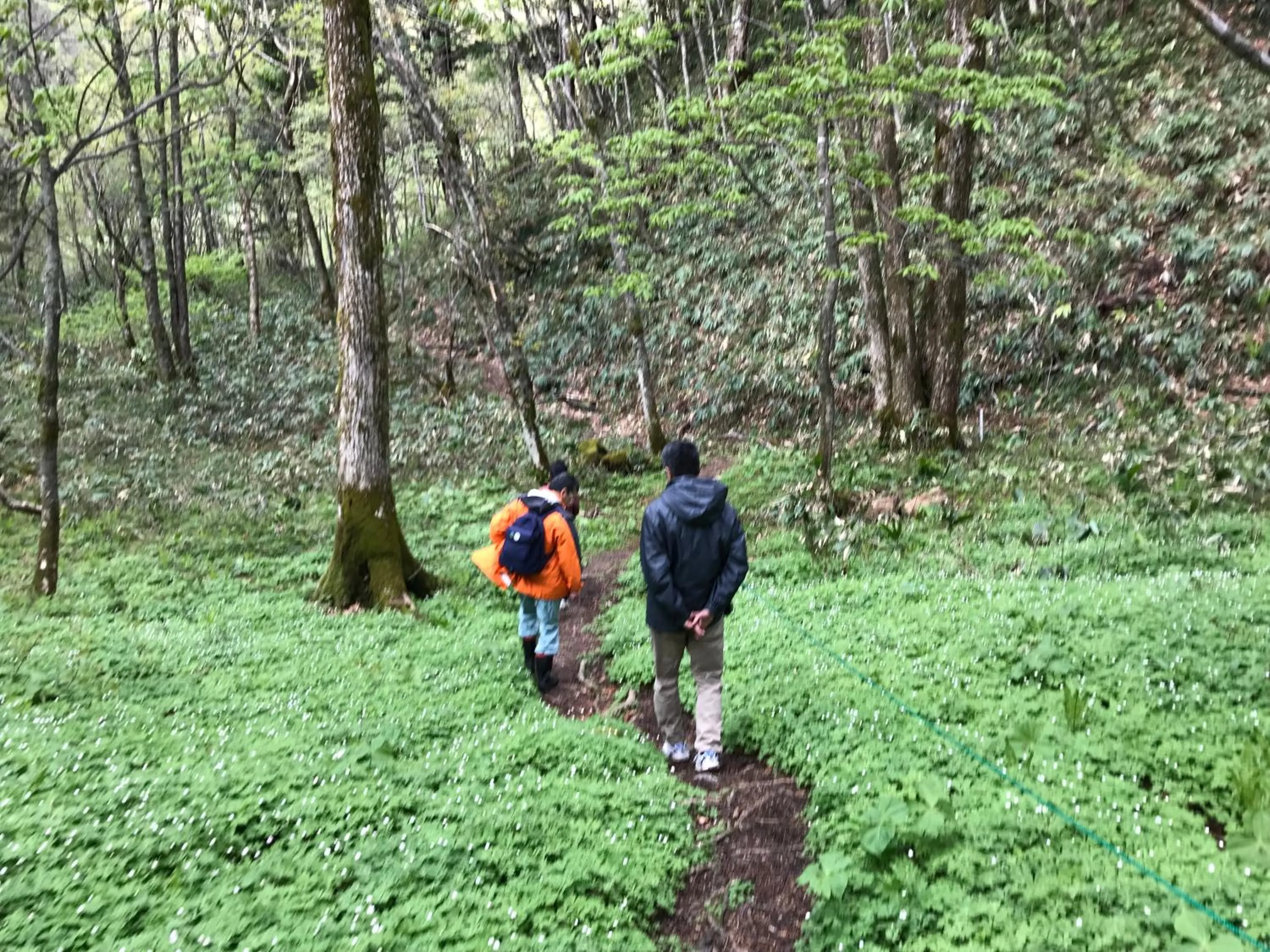 Hiking in Mozumo (Adult Only)