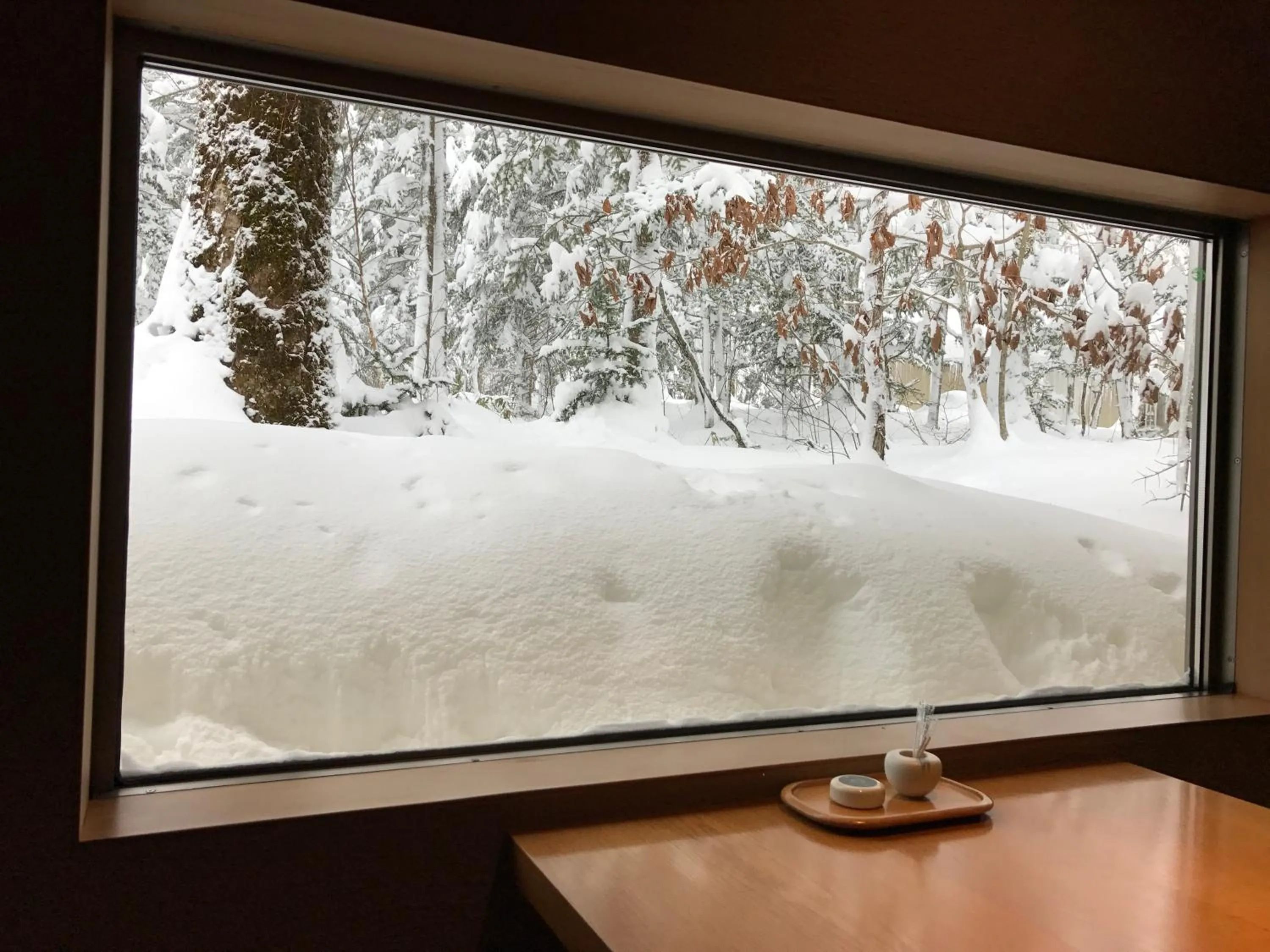 View (from property/room) in Mozumo (Adult Only)