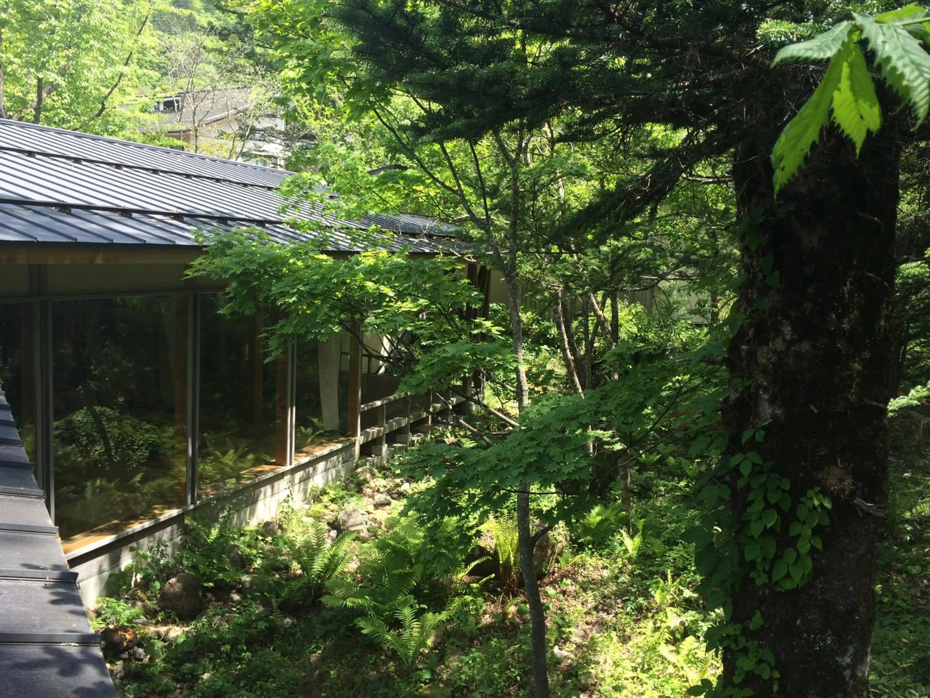 Property building in Mozumo (Adult Only)