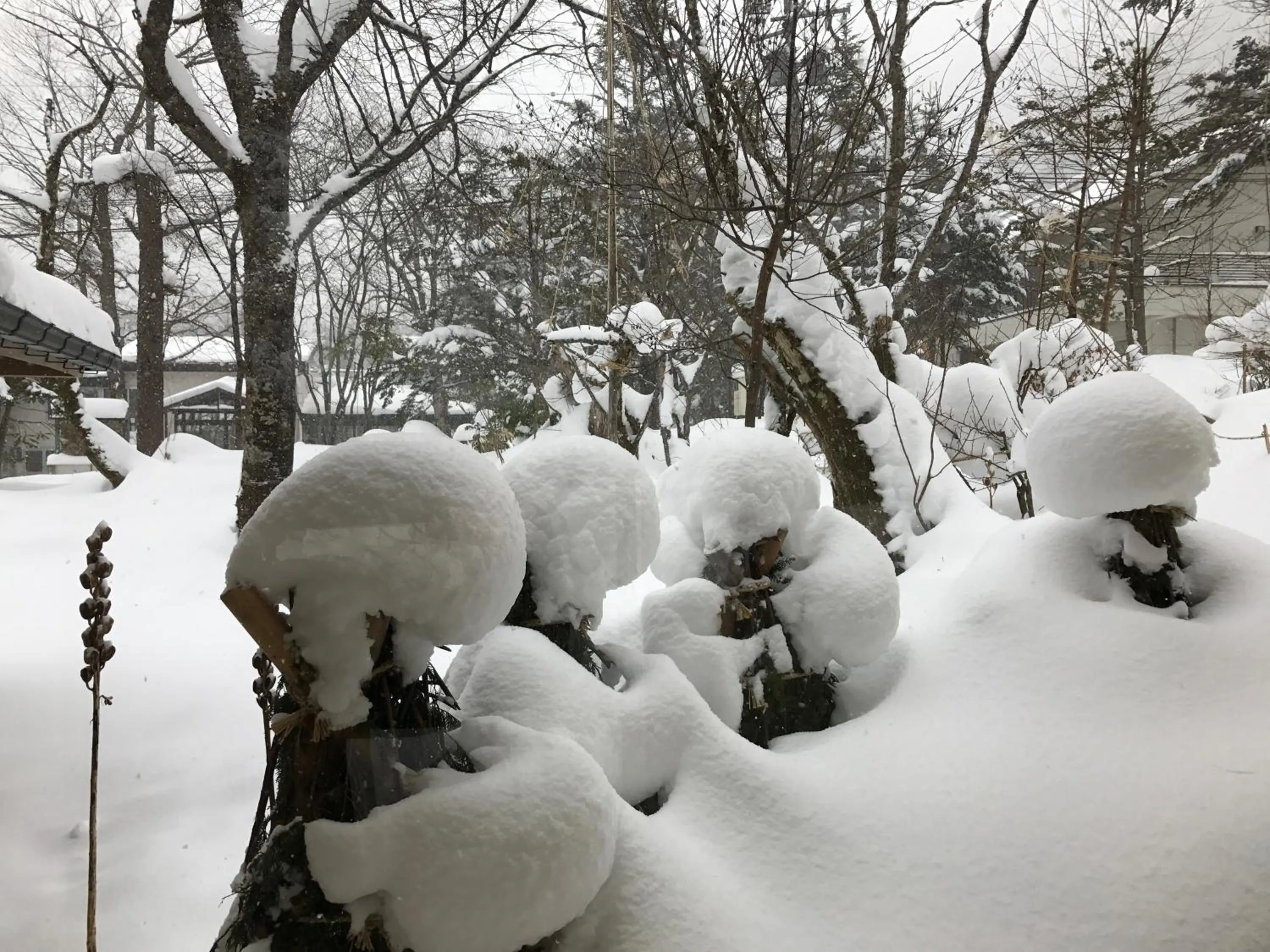 View (from property/room) in Mozumo (Adult Only)