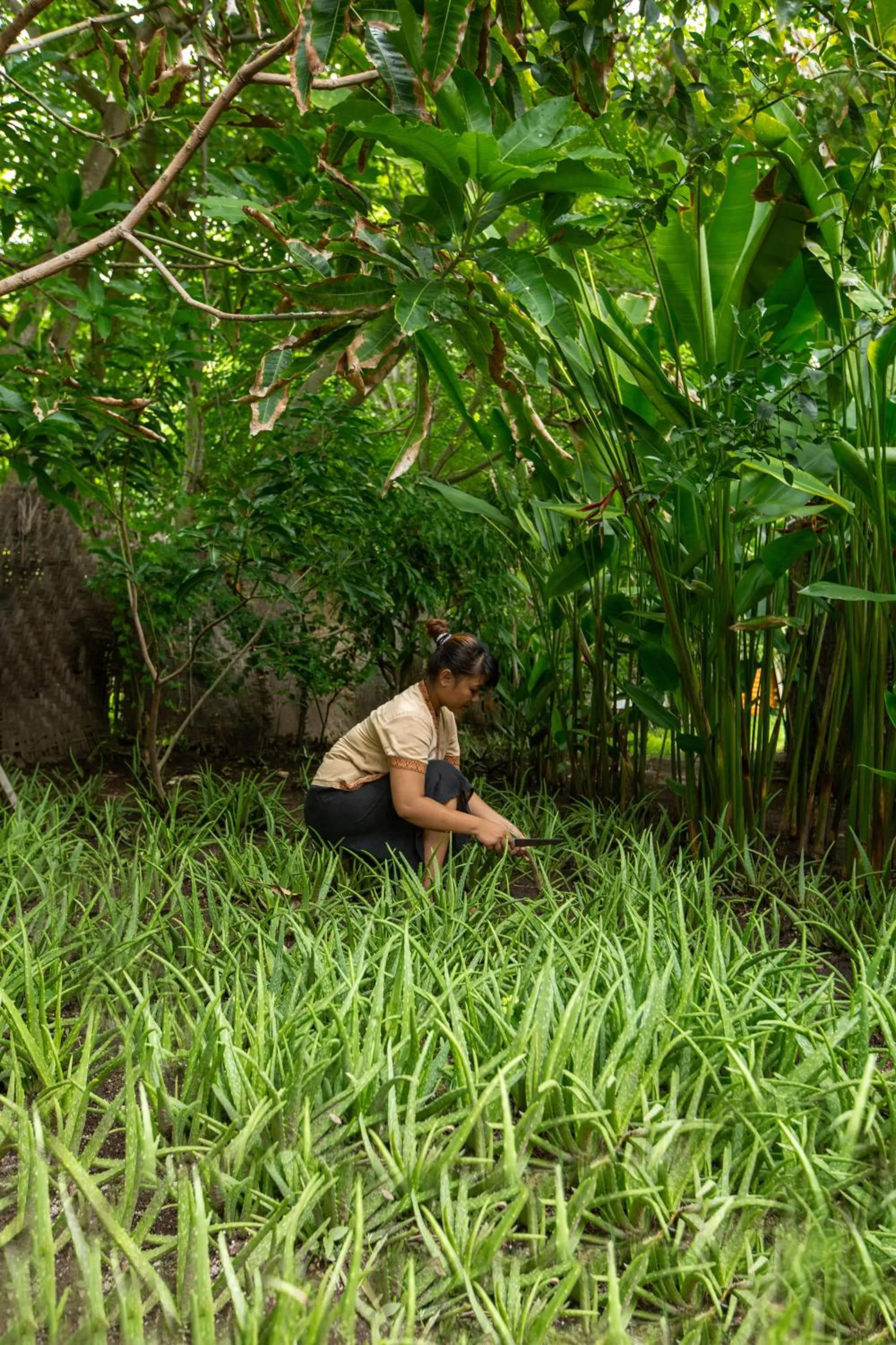 Spa and wellness centre/facilities in Slow Gili Air