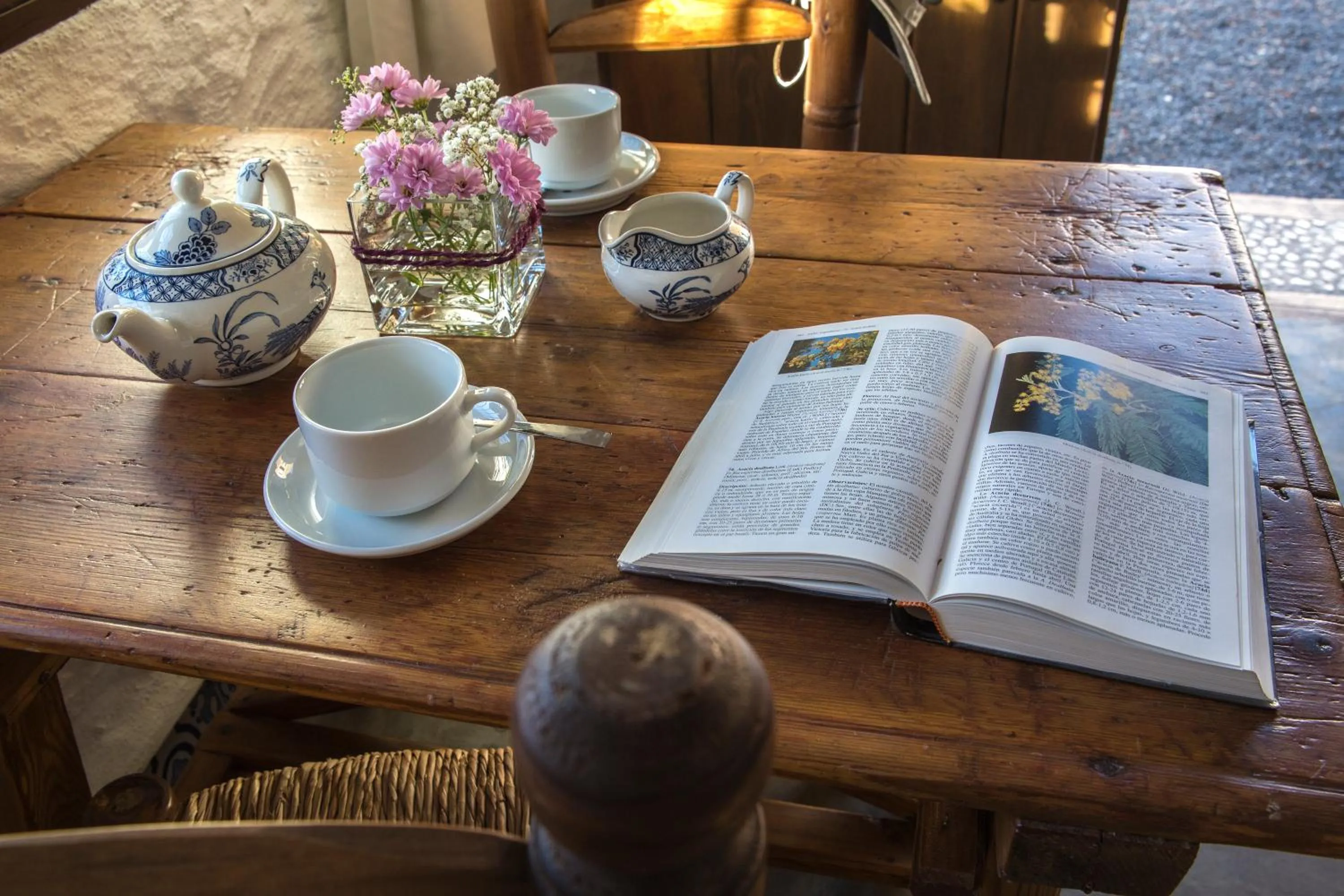 Coffee/tea facilities in Balcones de Piedad