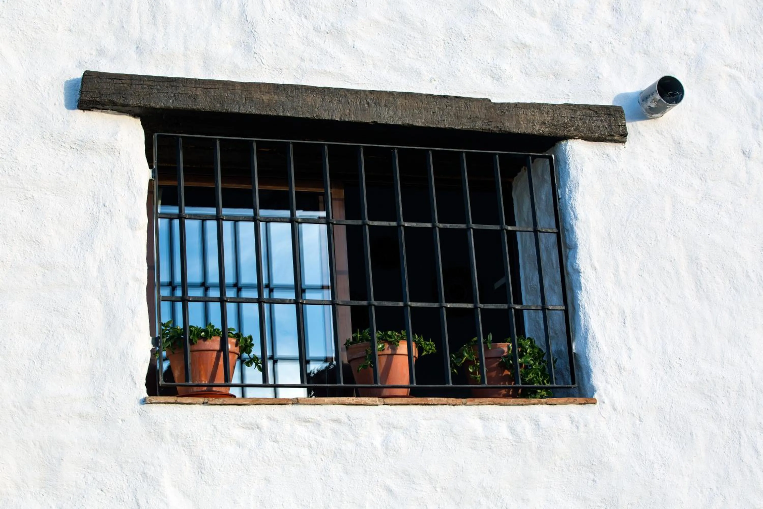 Garden view in Balcones de Piedad