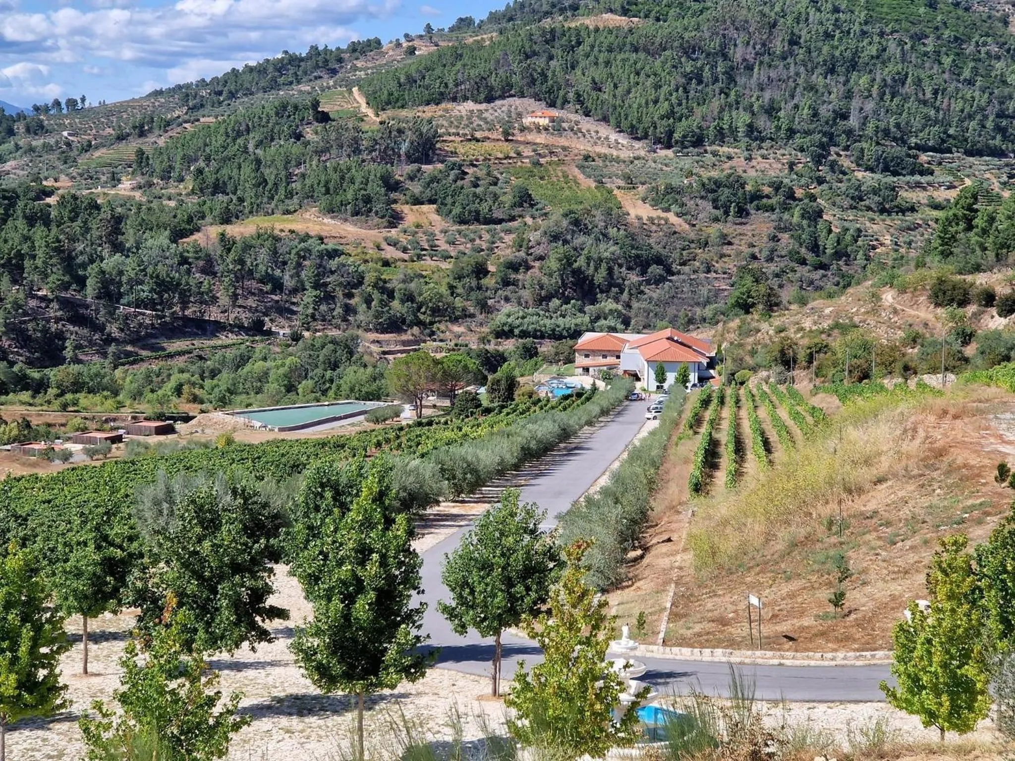 Bird's eye view in Douro Cister Hotel Resort