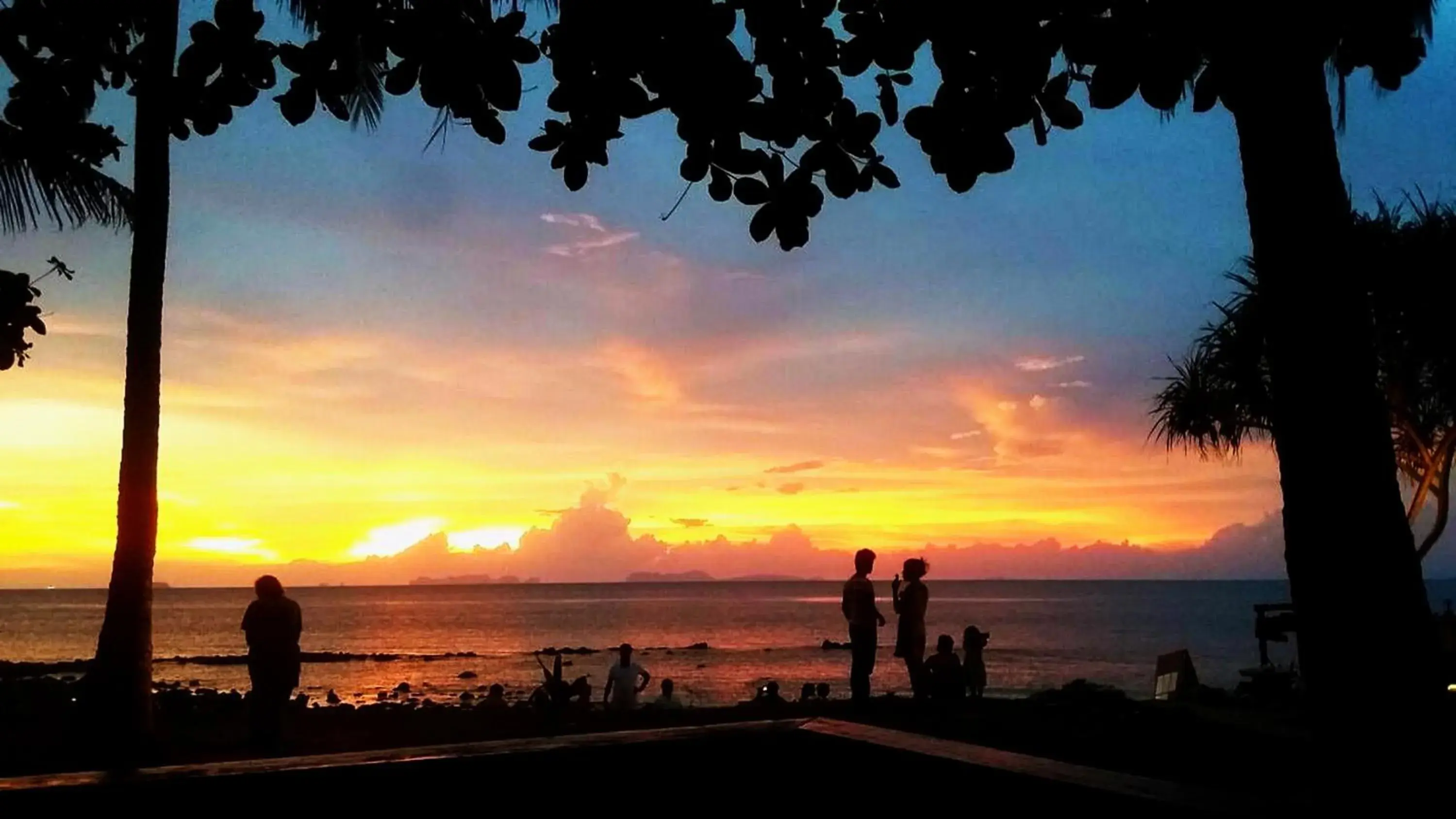 Double Room with Beach Front in Nautilus Right on the Beach - Adult Only - SHA Extra Plus Double Room with Beach Front in Nautilus Right on the Beach - Adult Only - SHA Extra Plus