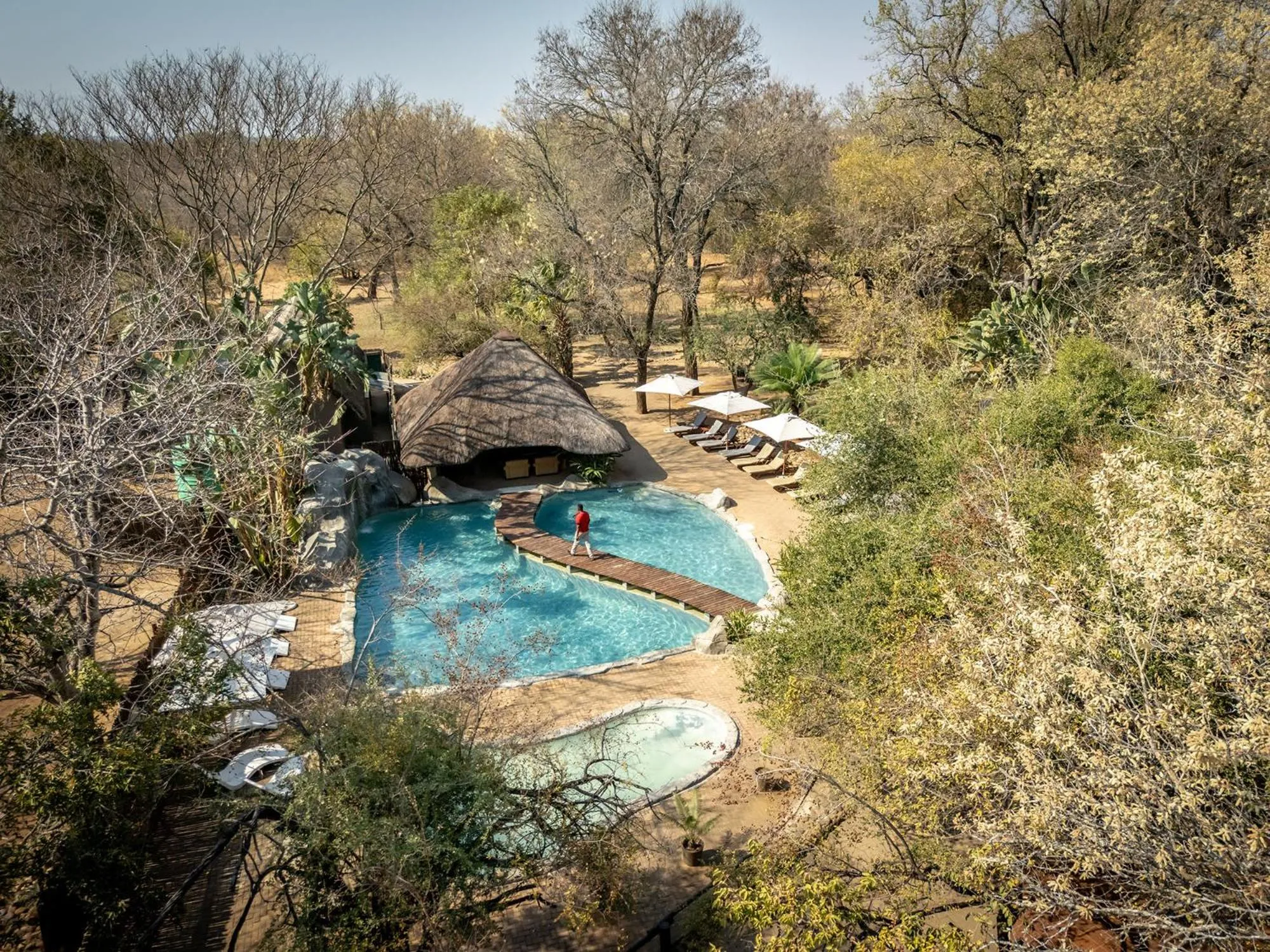 View (from property/room) in Karongwe- Shiduli Safari Lodge