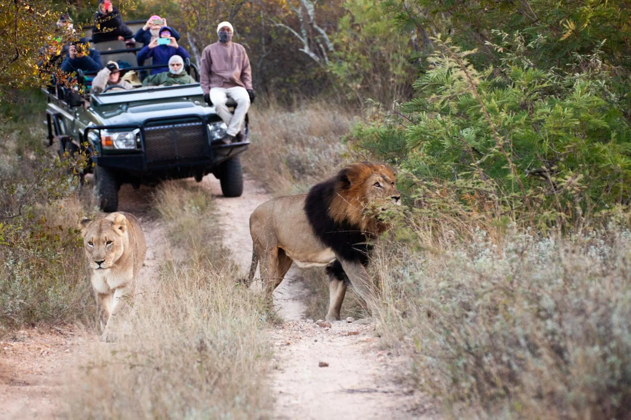 Activities in Karongwe- Shiduli Safari Lodge