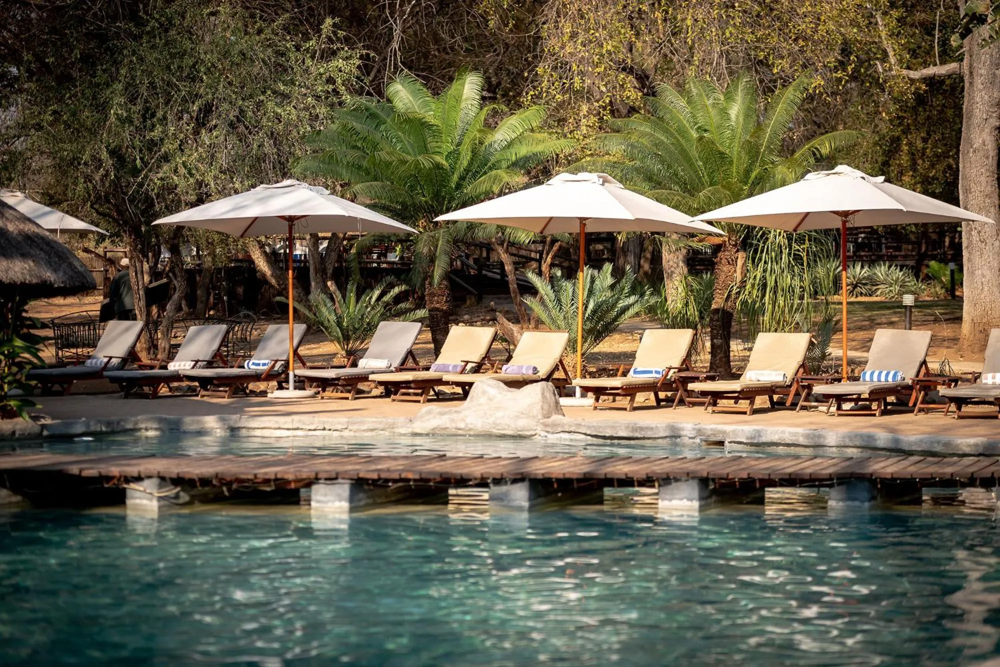 Swimming pool in Karongwe- Shiduli Safari Lodge