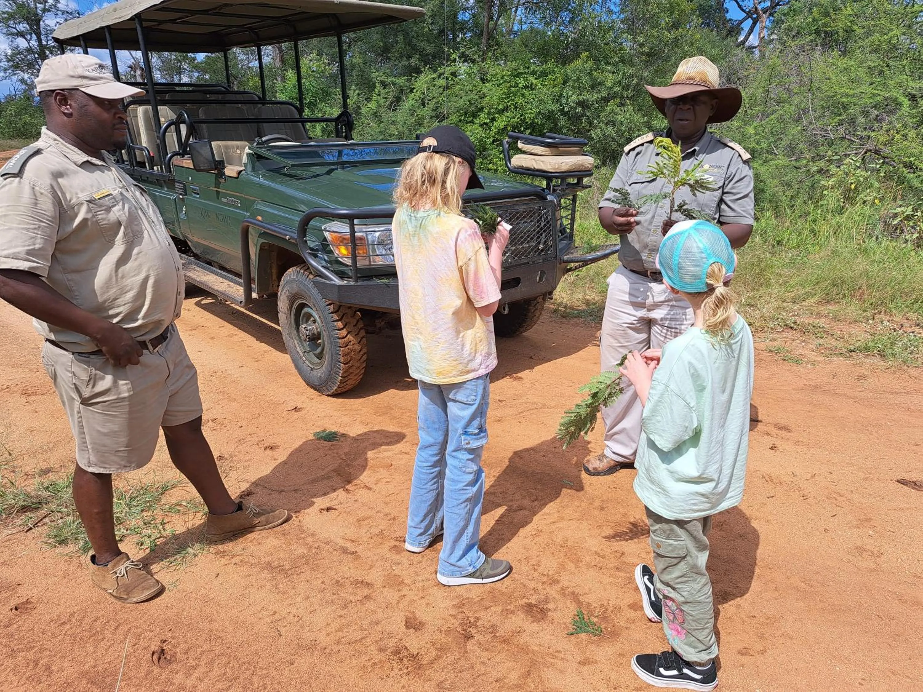 Activities in Karongwe- Shiduli Safari Lodge