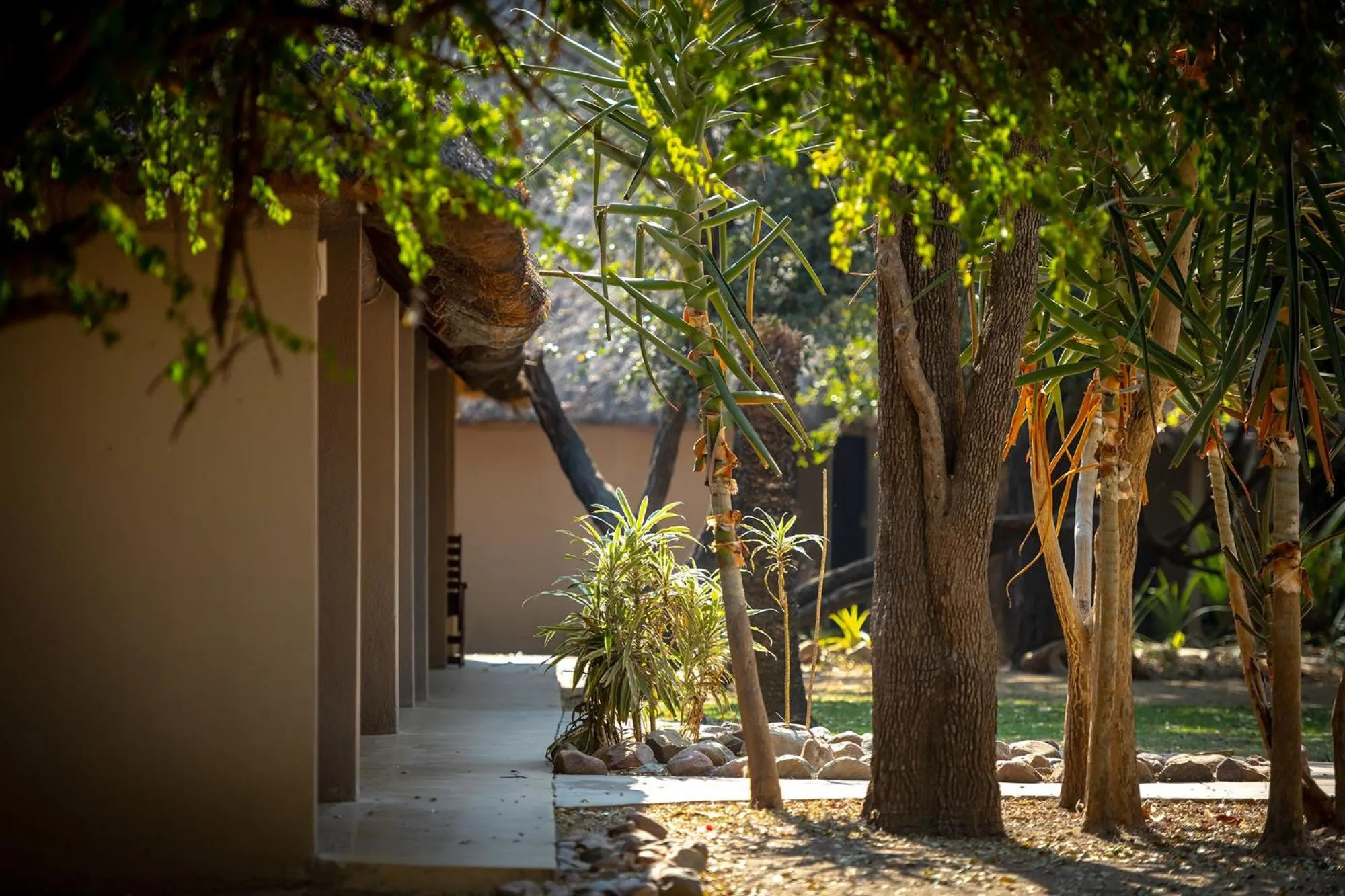 Property building in Karongwe- Shiduli Safari Lodge